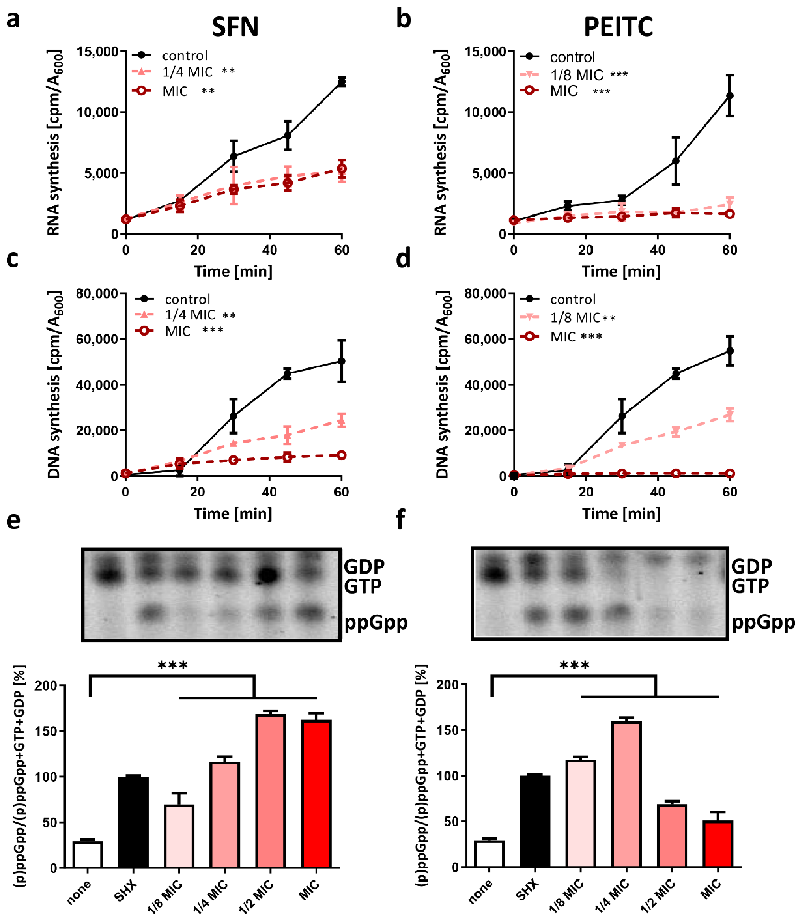 Ijms 22 10187 g003 550