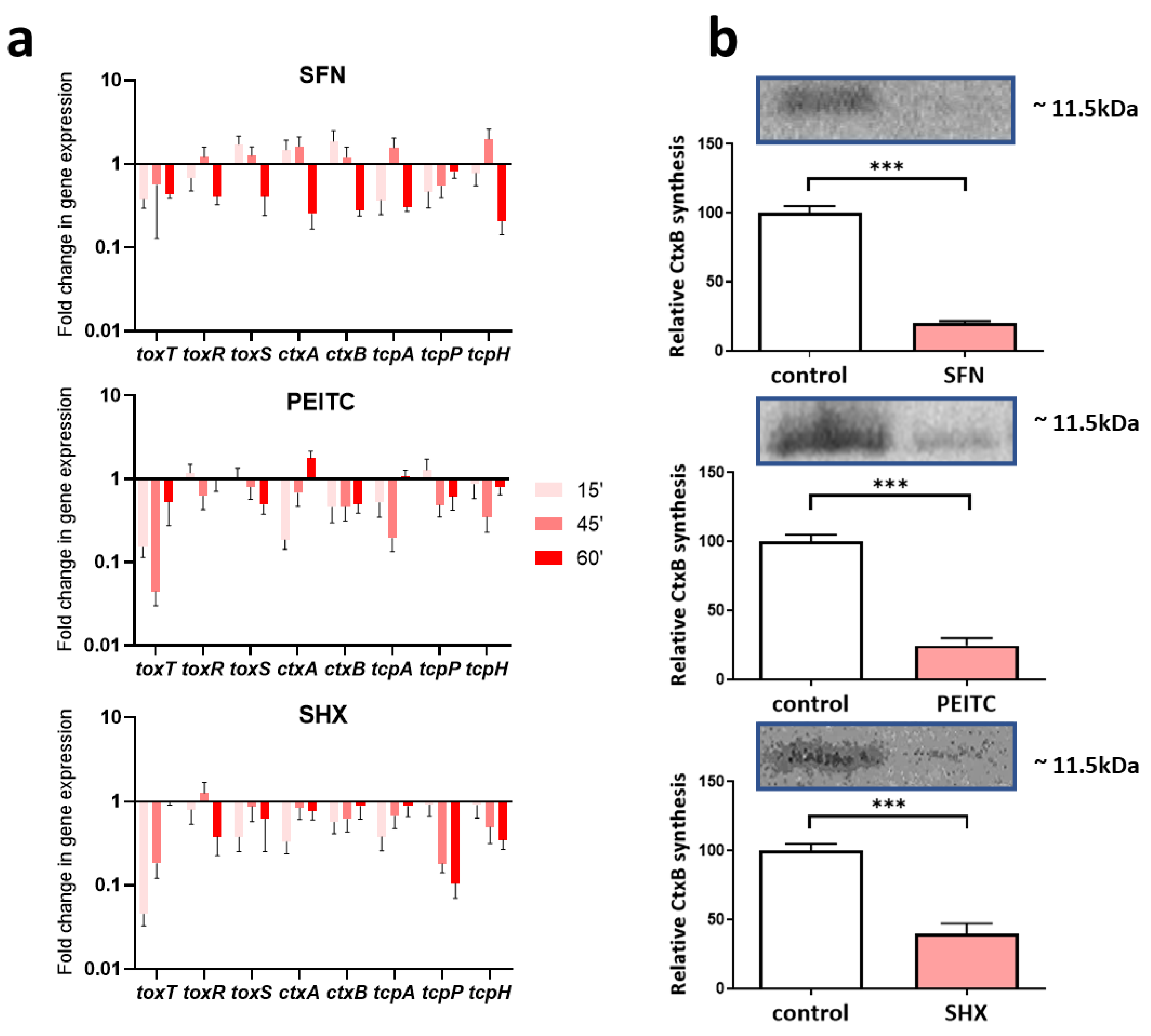 Ijms 22 10187 g004 550