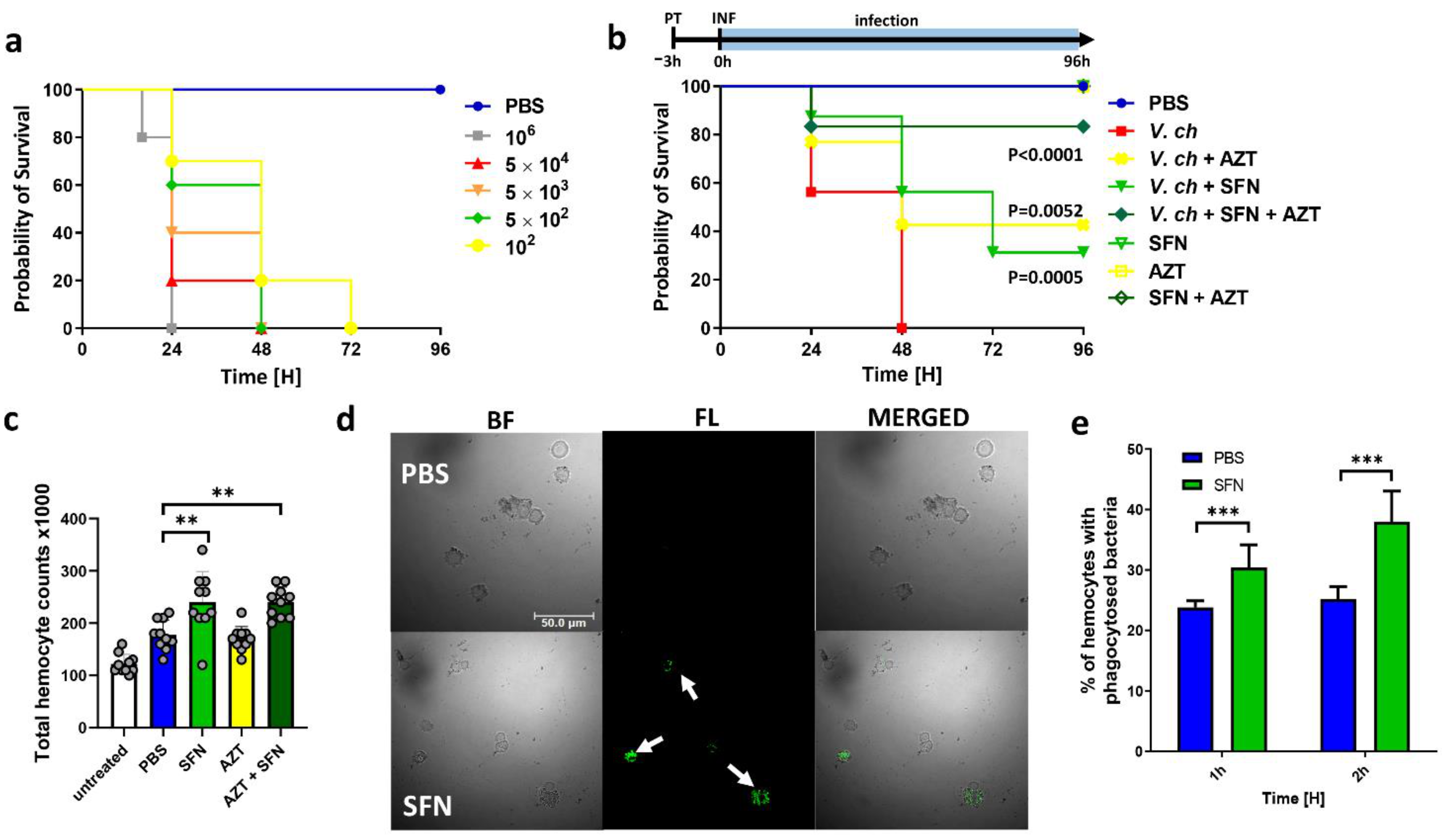 Ijms 22 10187 g006 550