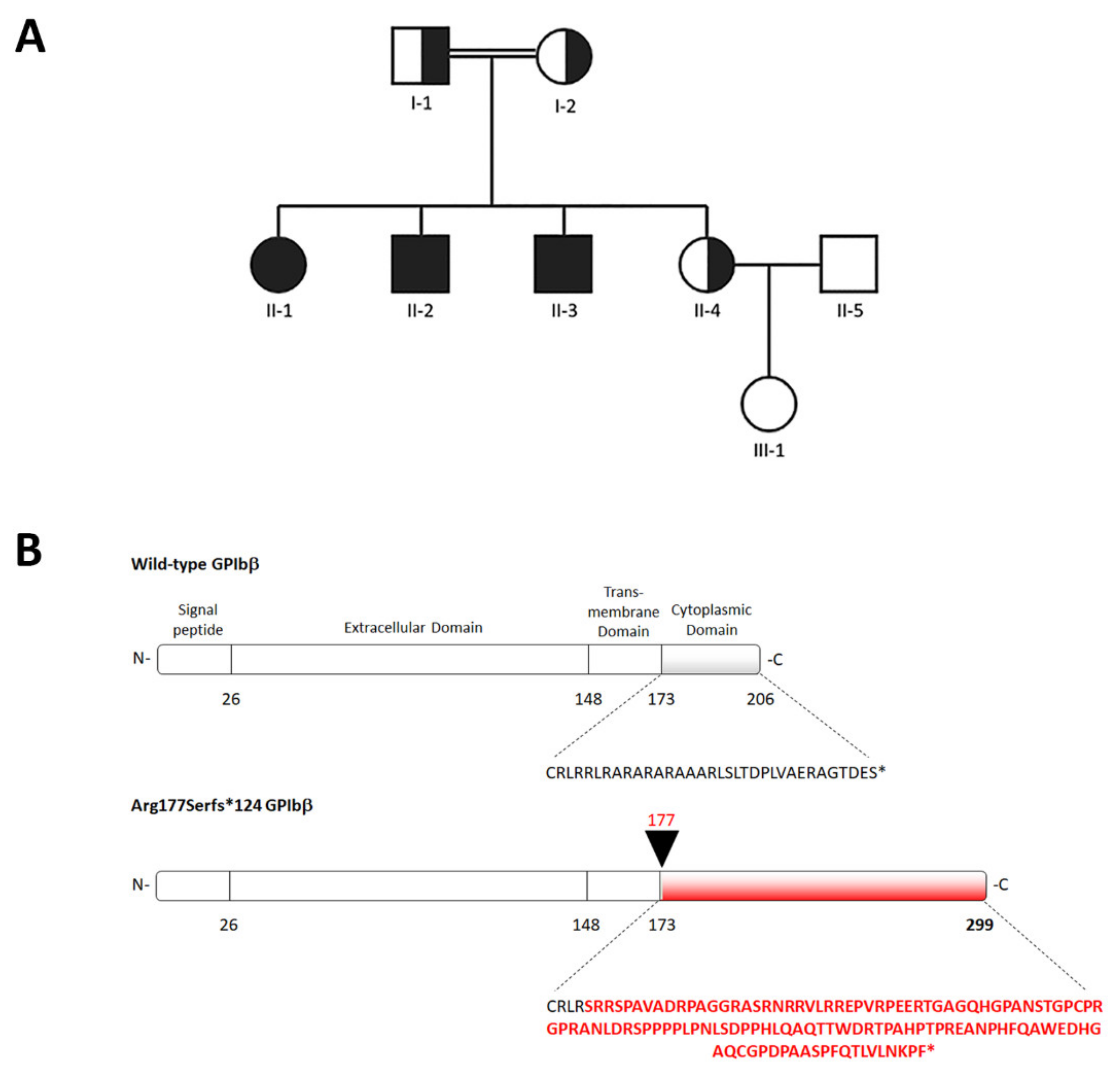 Ijms 22 10190 g001 550