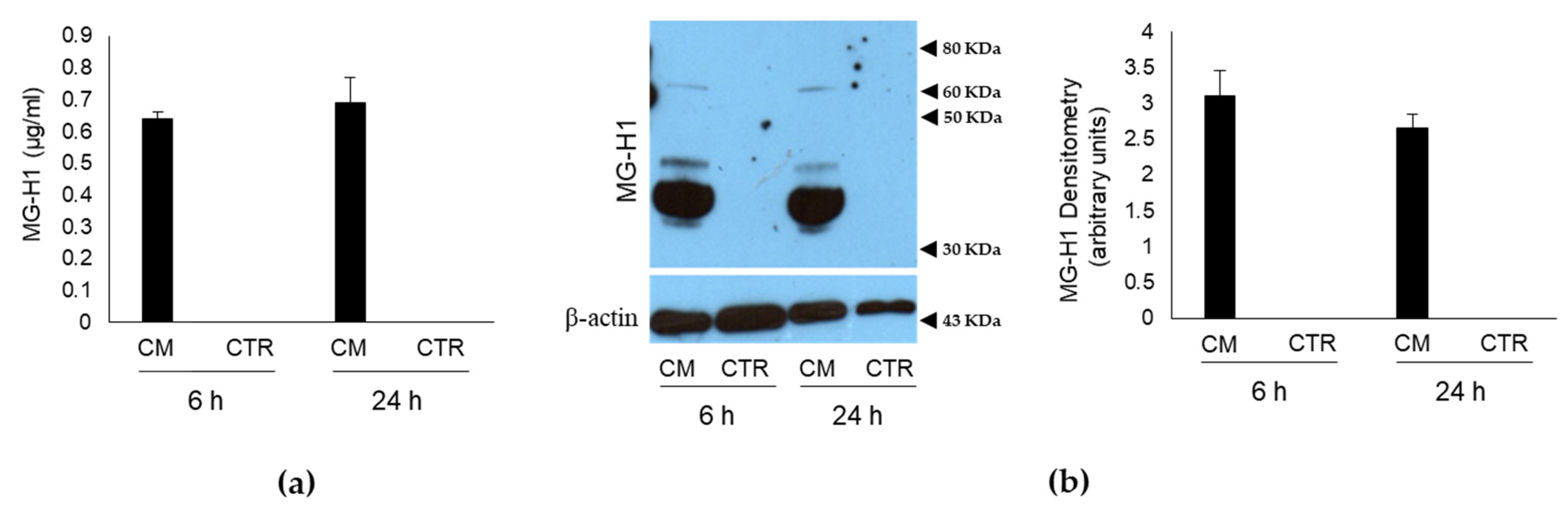 Ijms 22 10191 g001 550