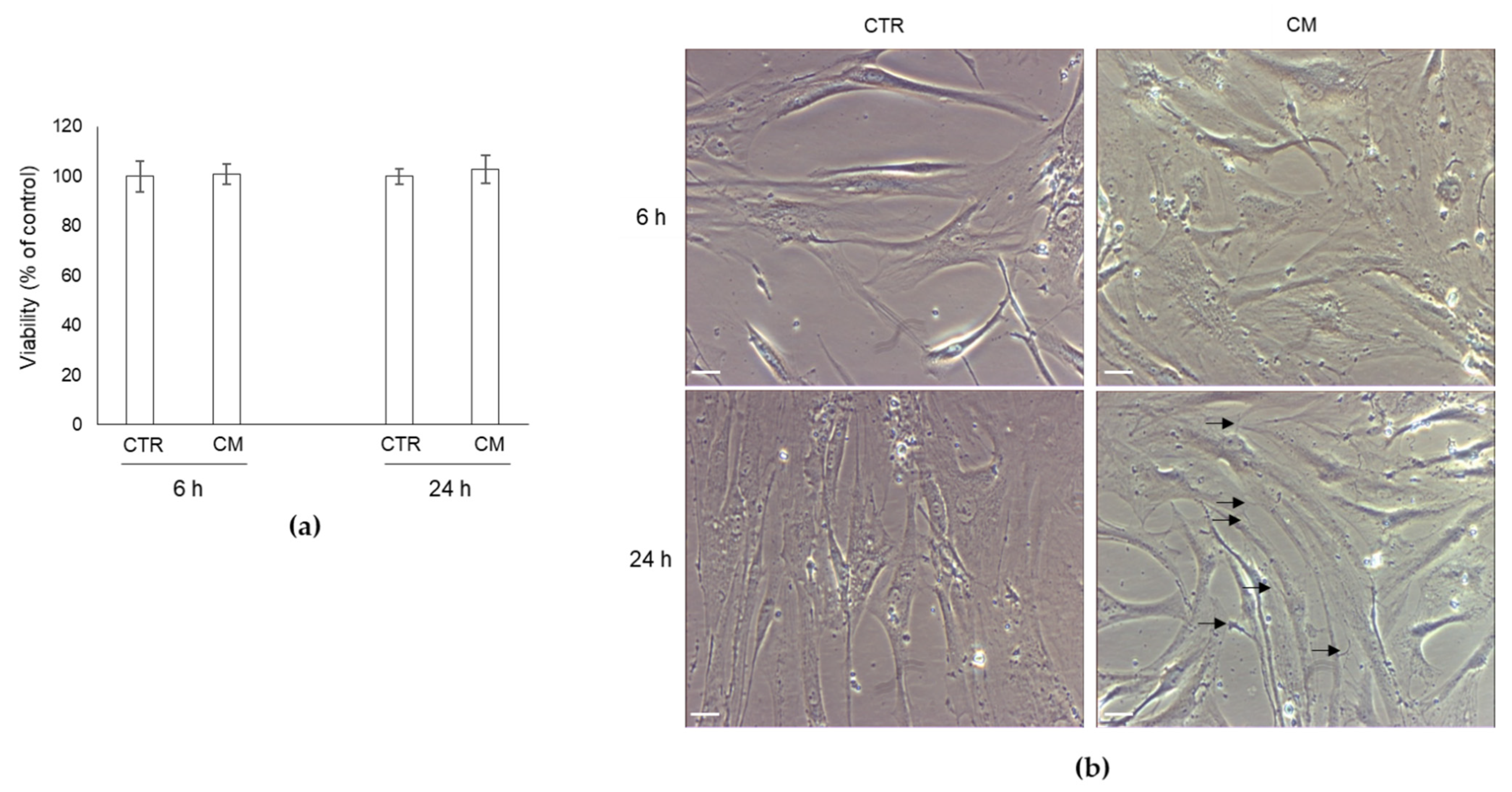 Ijms 22 10191 g002 550