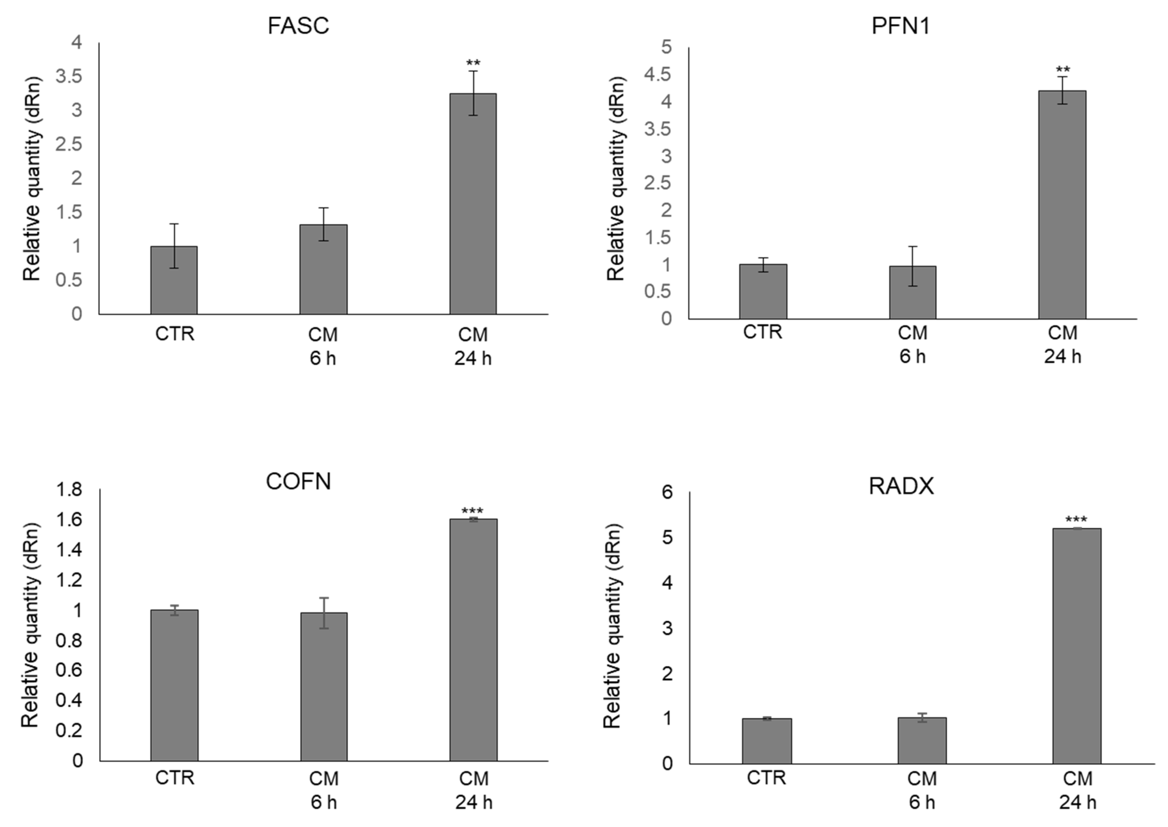 Ijms 22 10191 g006 550
