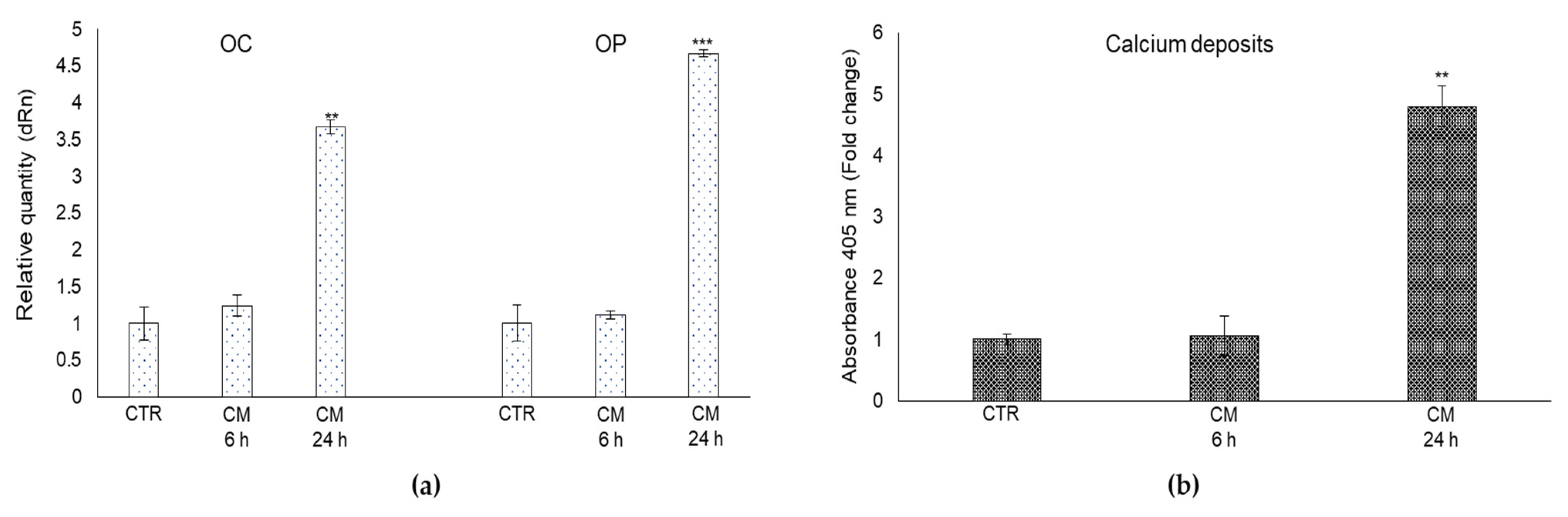 Ijms 22 10191 g007 550