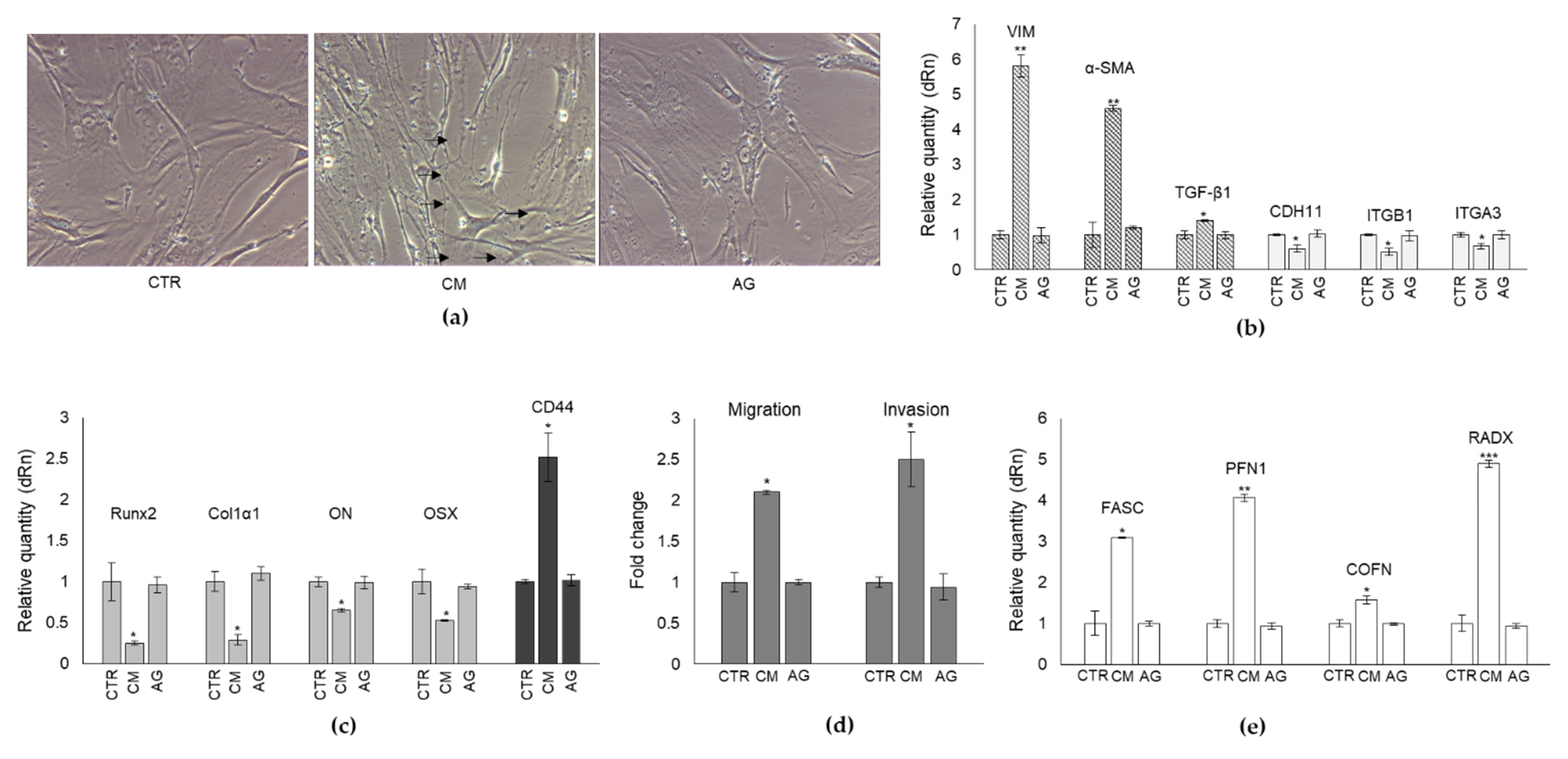 Ijms 22 10191 g009 550
