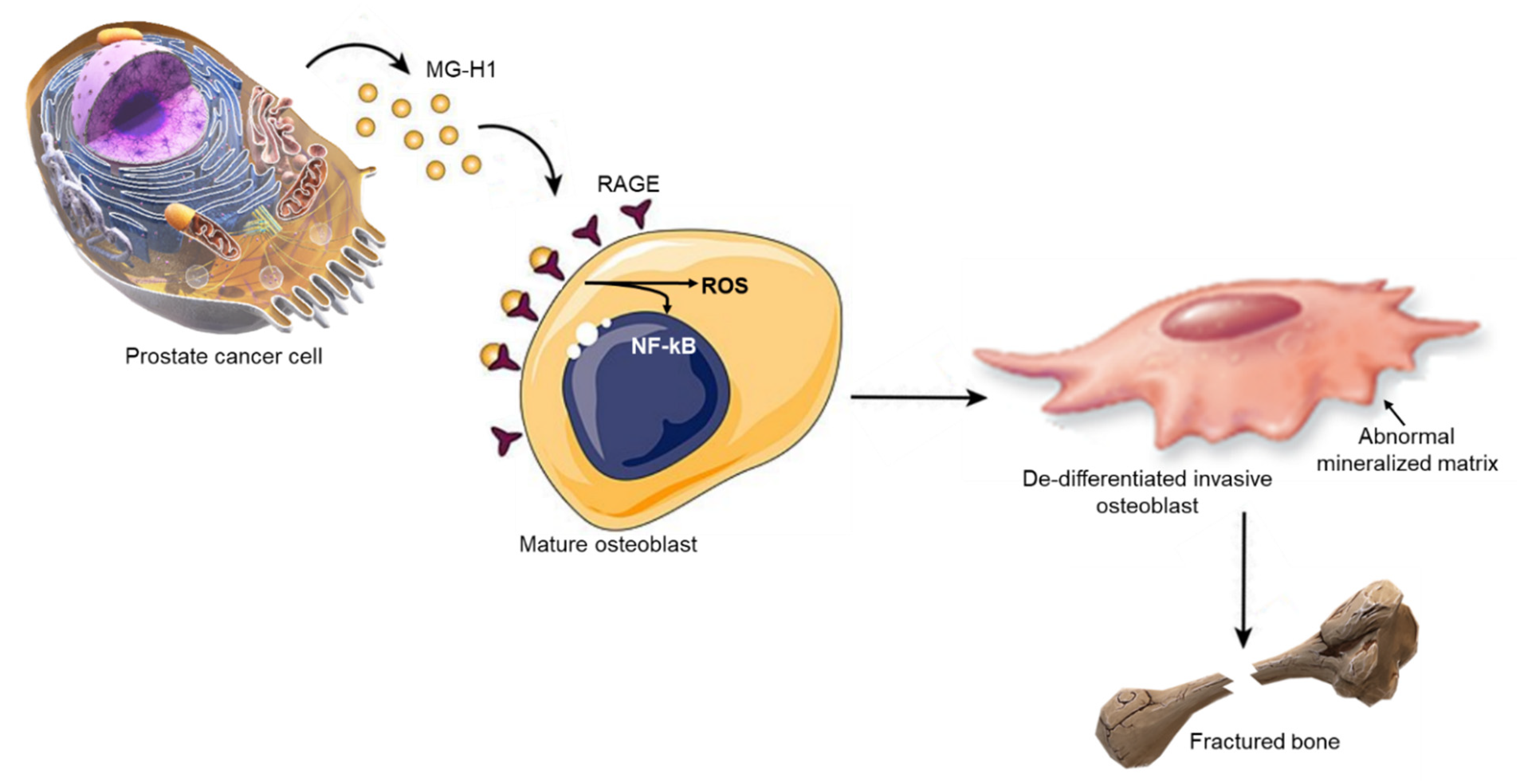 Ijms 22 10191 g013 550