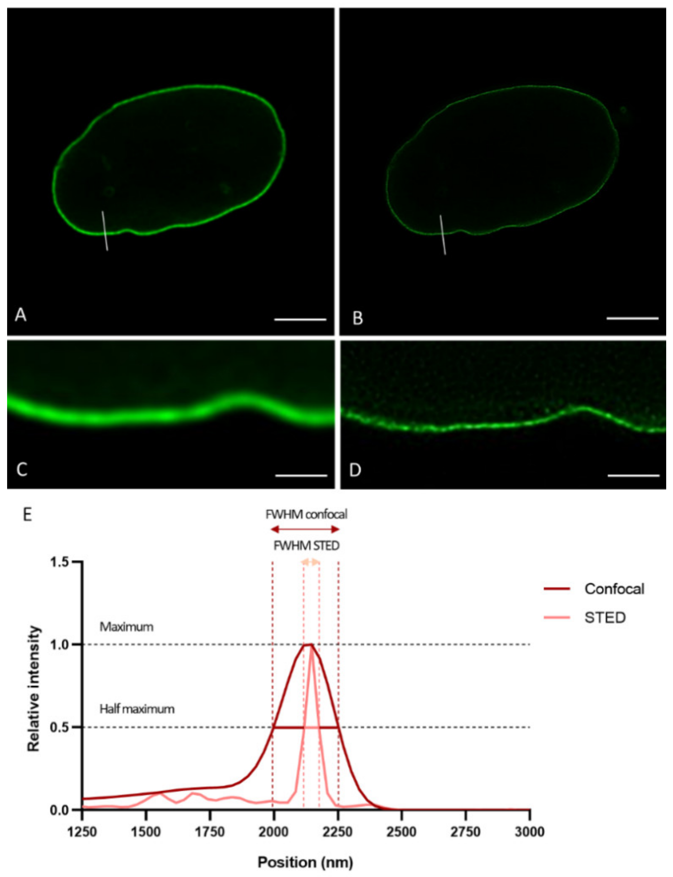 Ijms 22 10194 g001 550