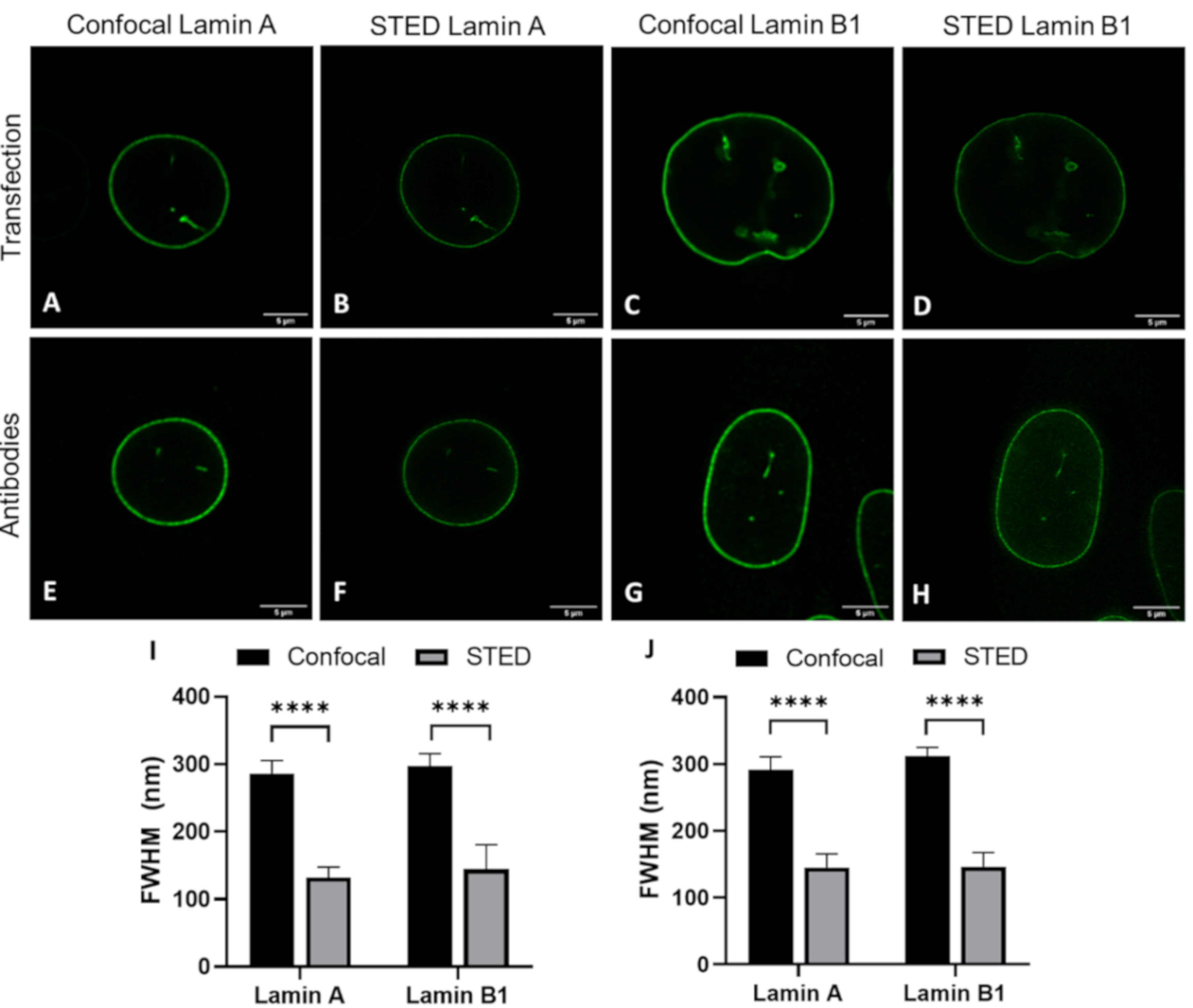Ijms 22 10194 g003 550
