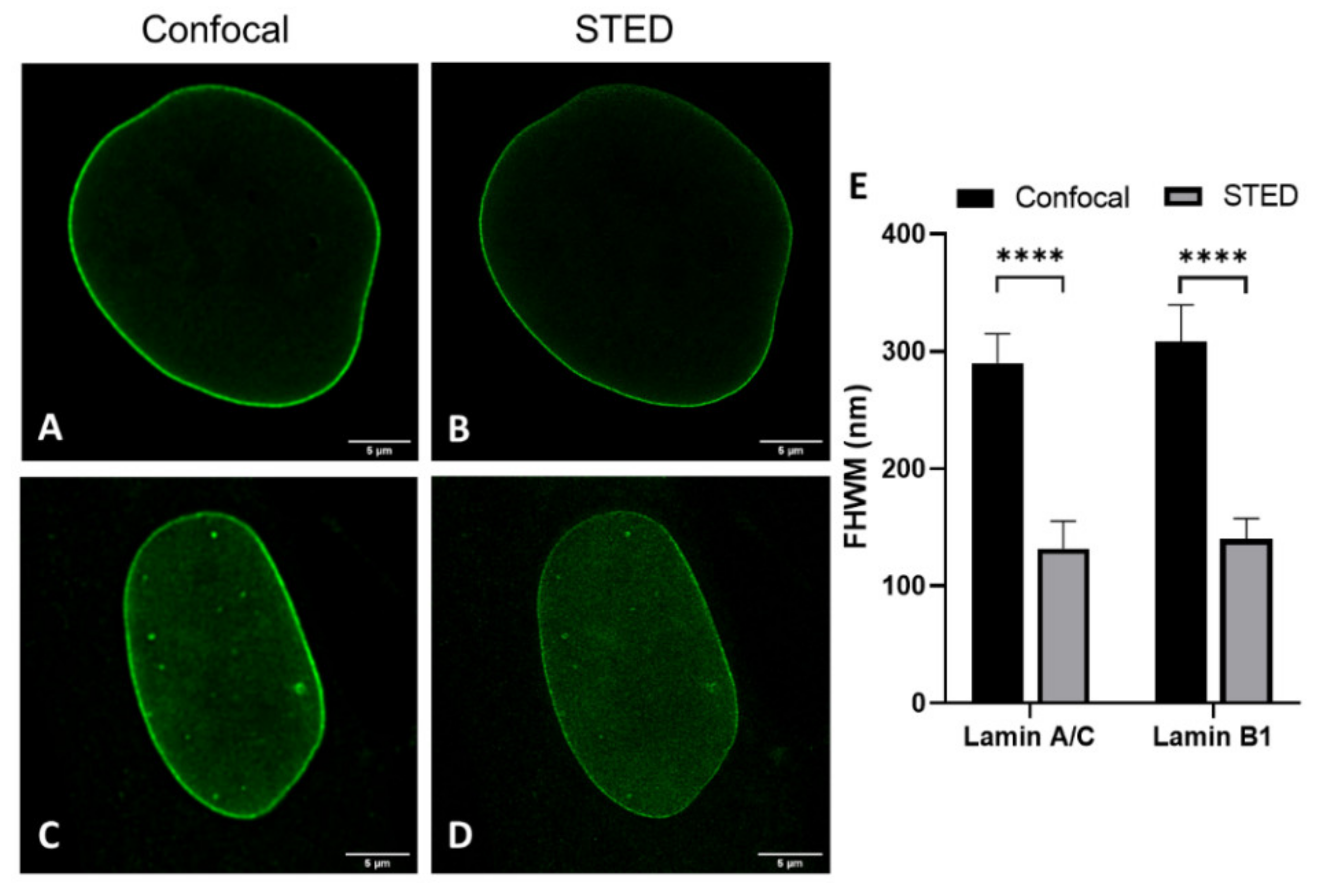 Ijms 22 10194 g004 550