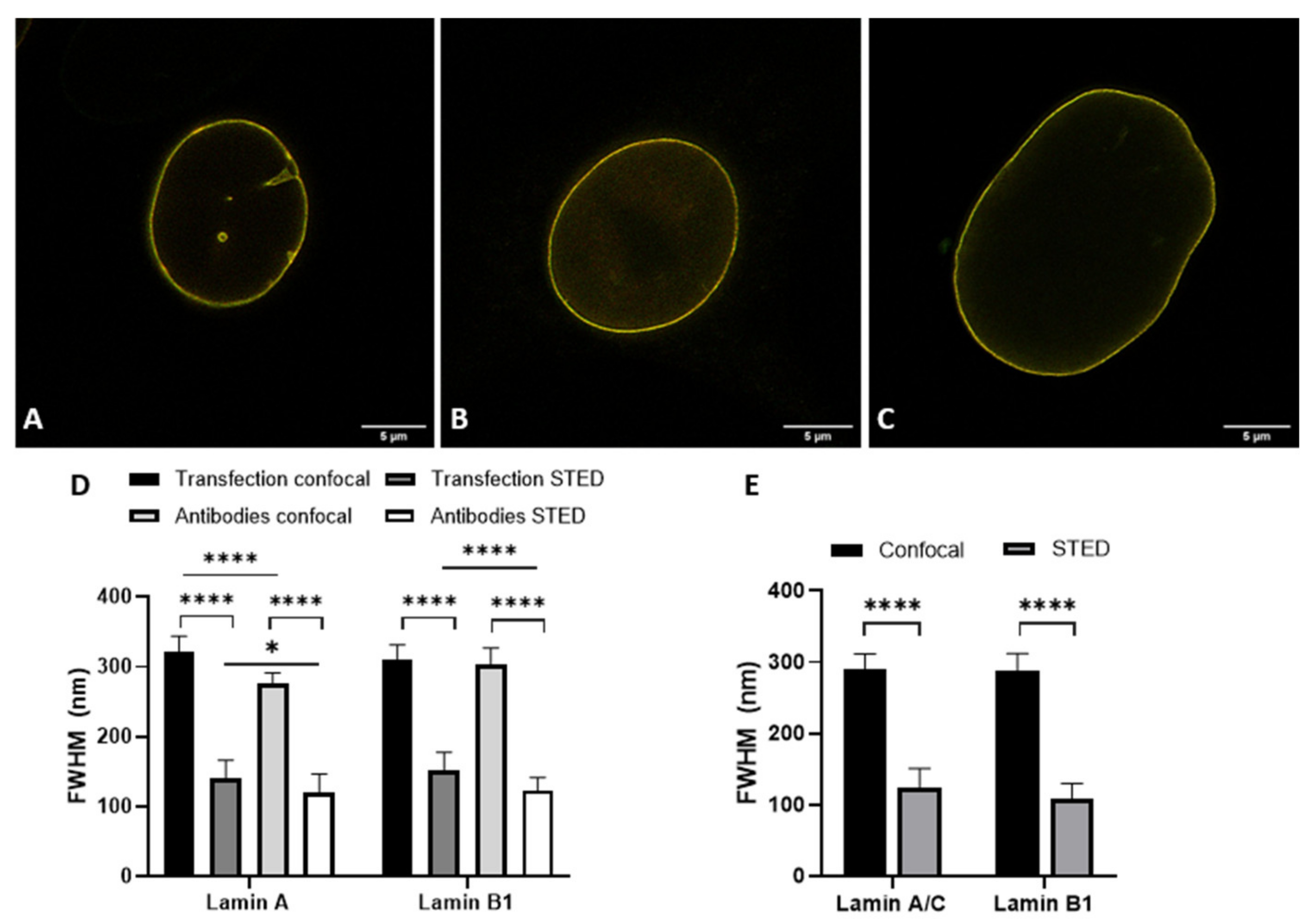 Ijms 22 10194 g005 550