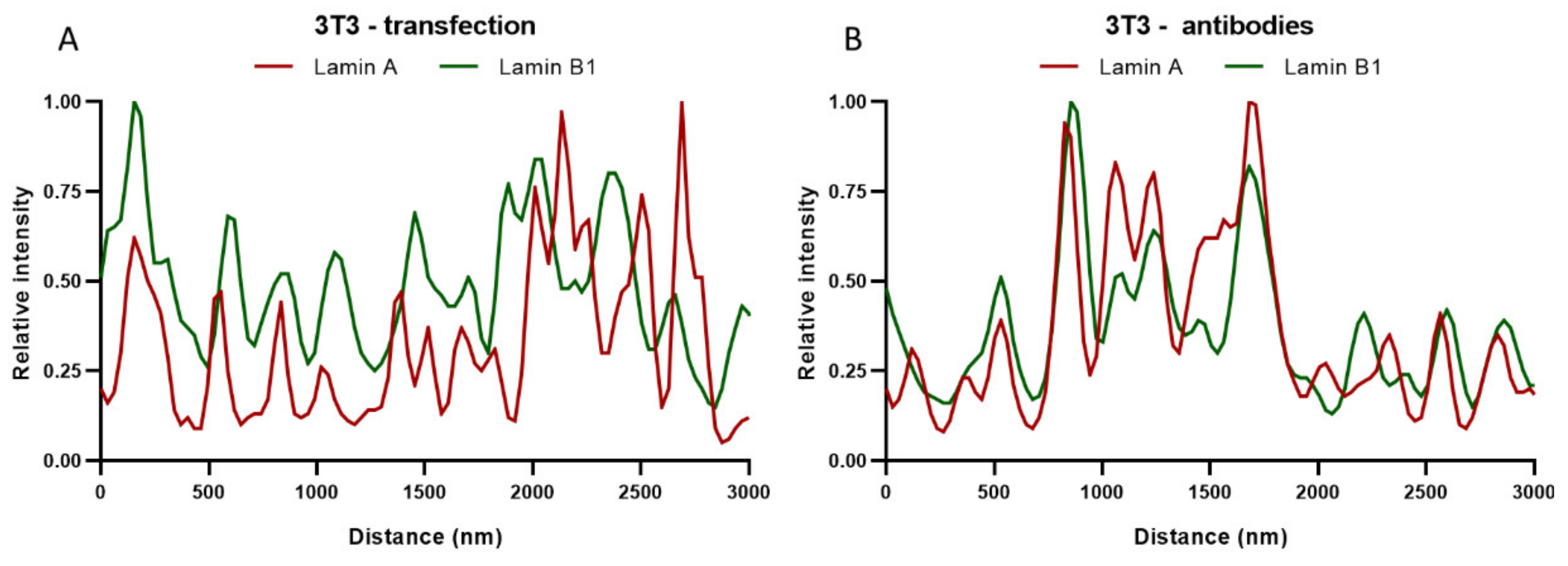 Ijms 22 10194 g007 550