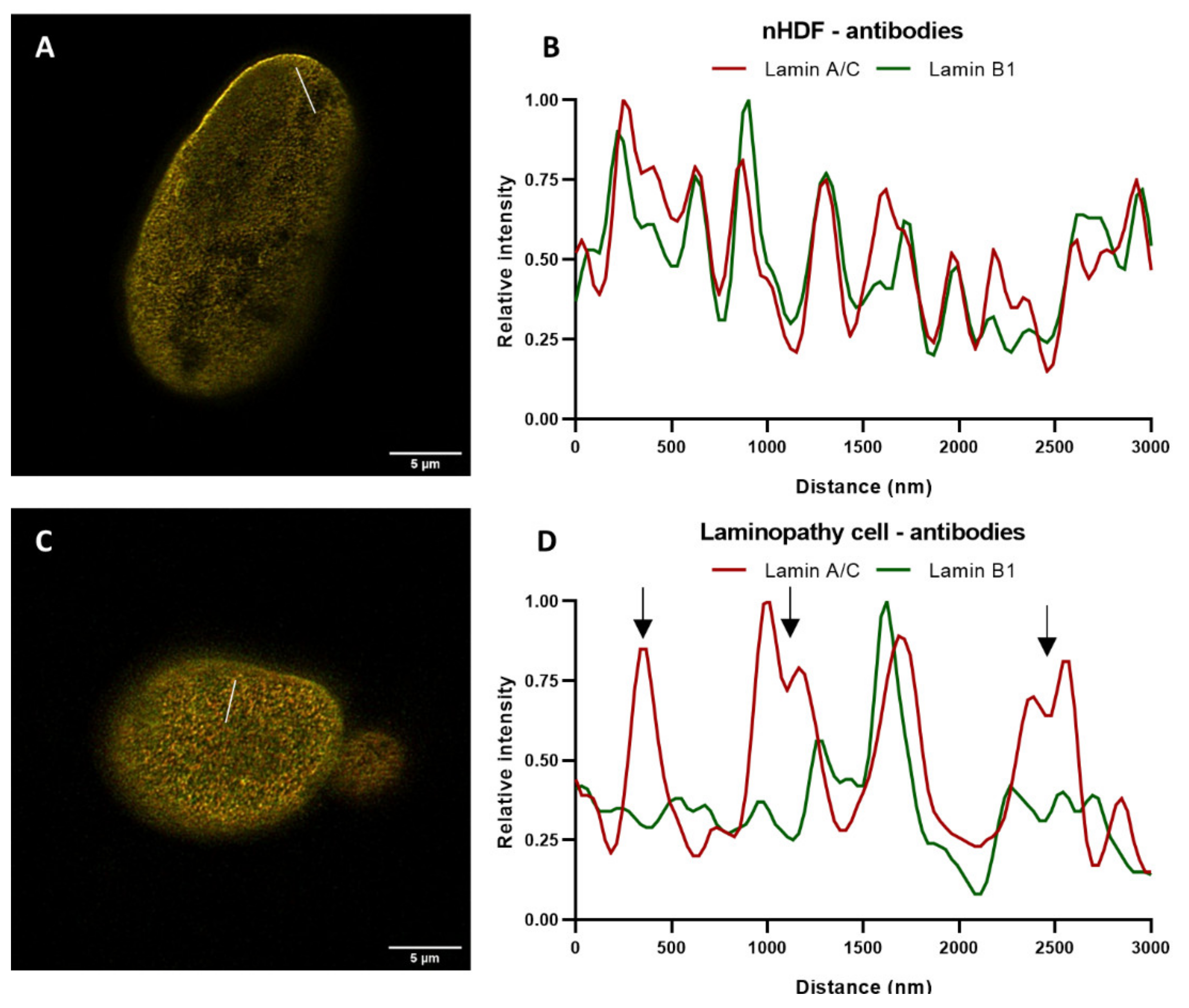 Ijms 22 10194 g011 550