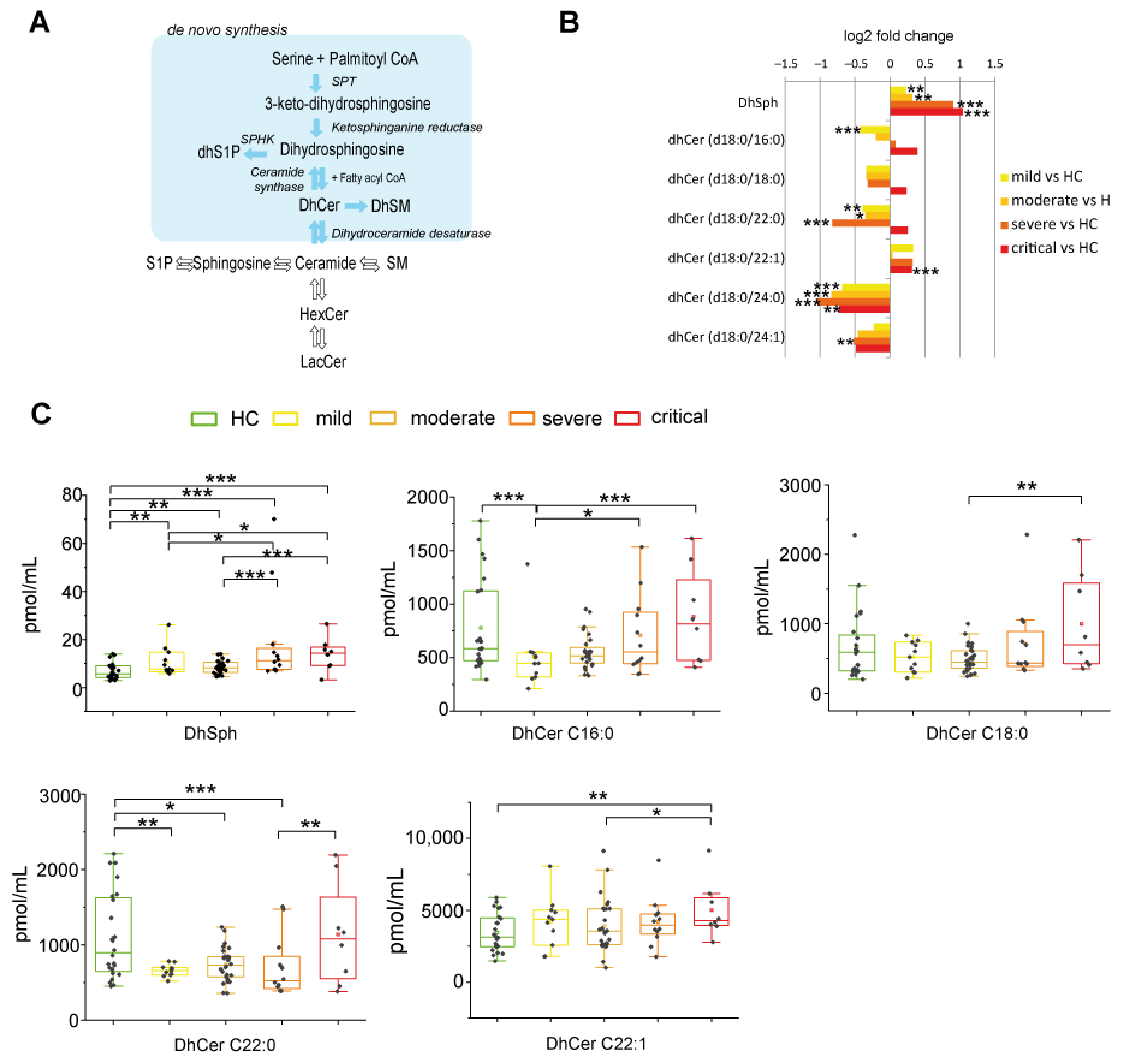 Ijms 22 10198 g002 Ijms 22 10198 g002
