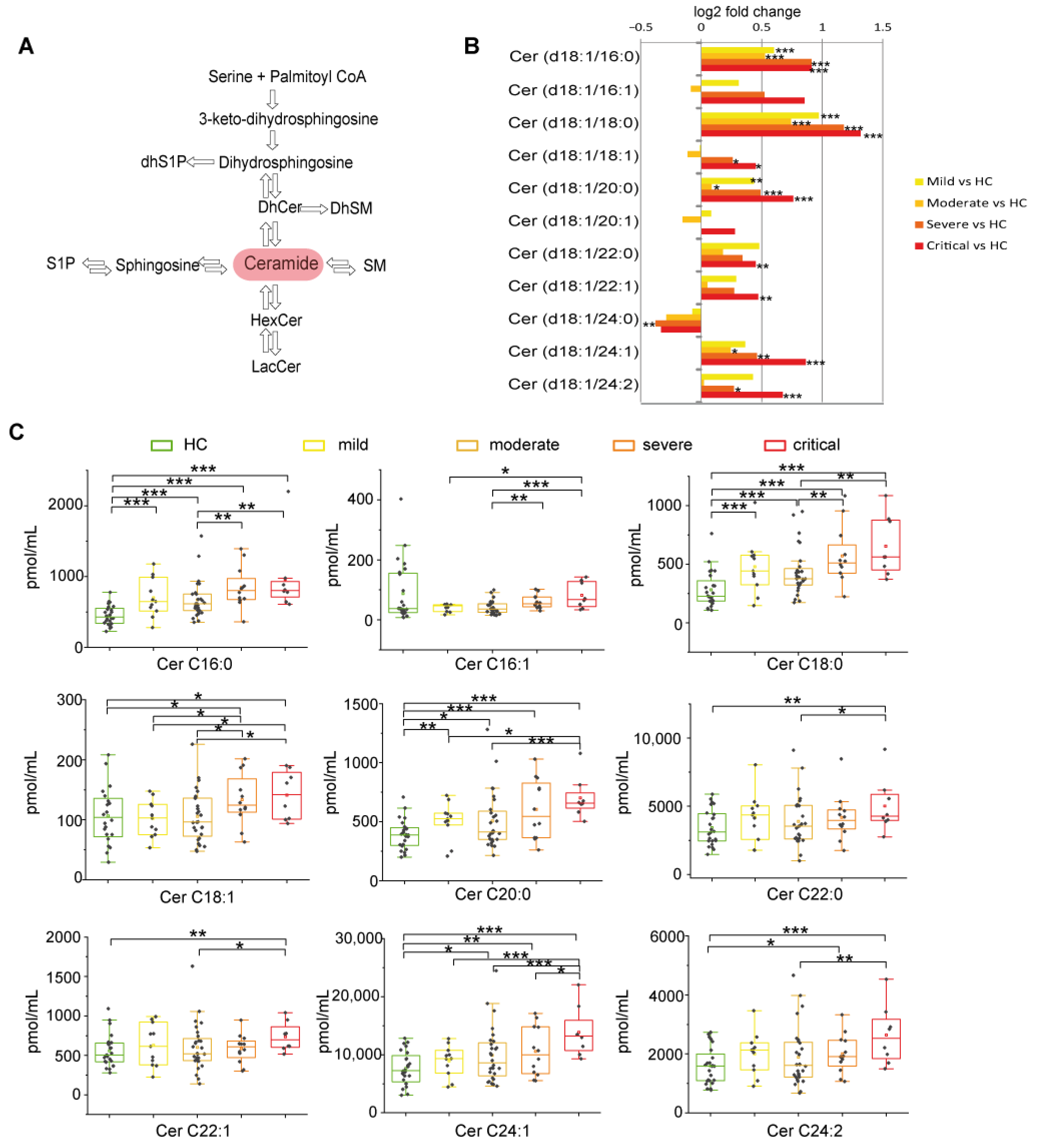 Ijms 22 10198 g003 Ijms 22 10198 g003