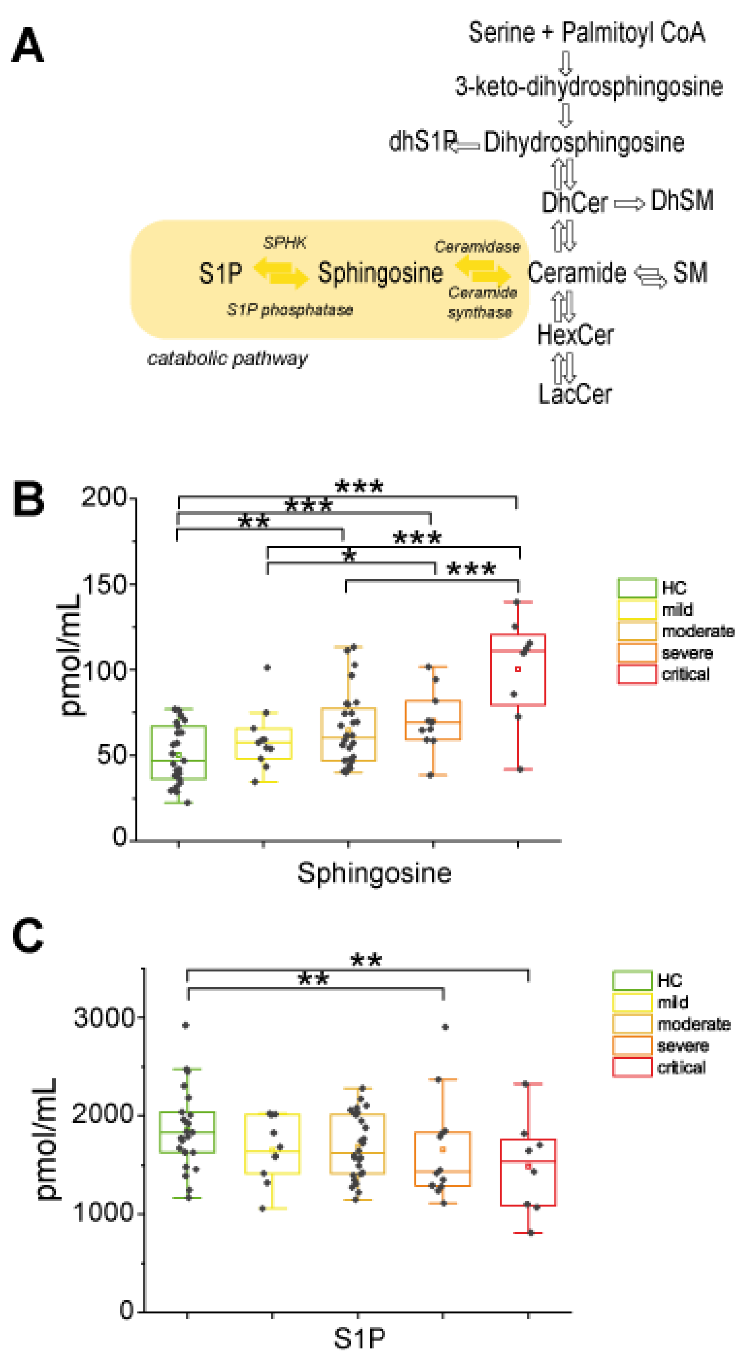 Ijms 22 10198 g004 Ijms 22 10198 g004
