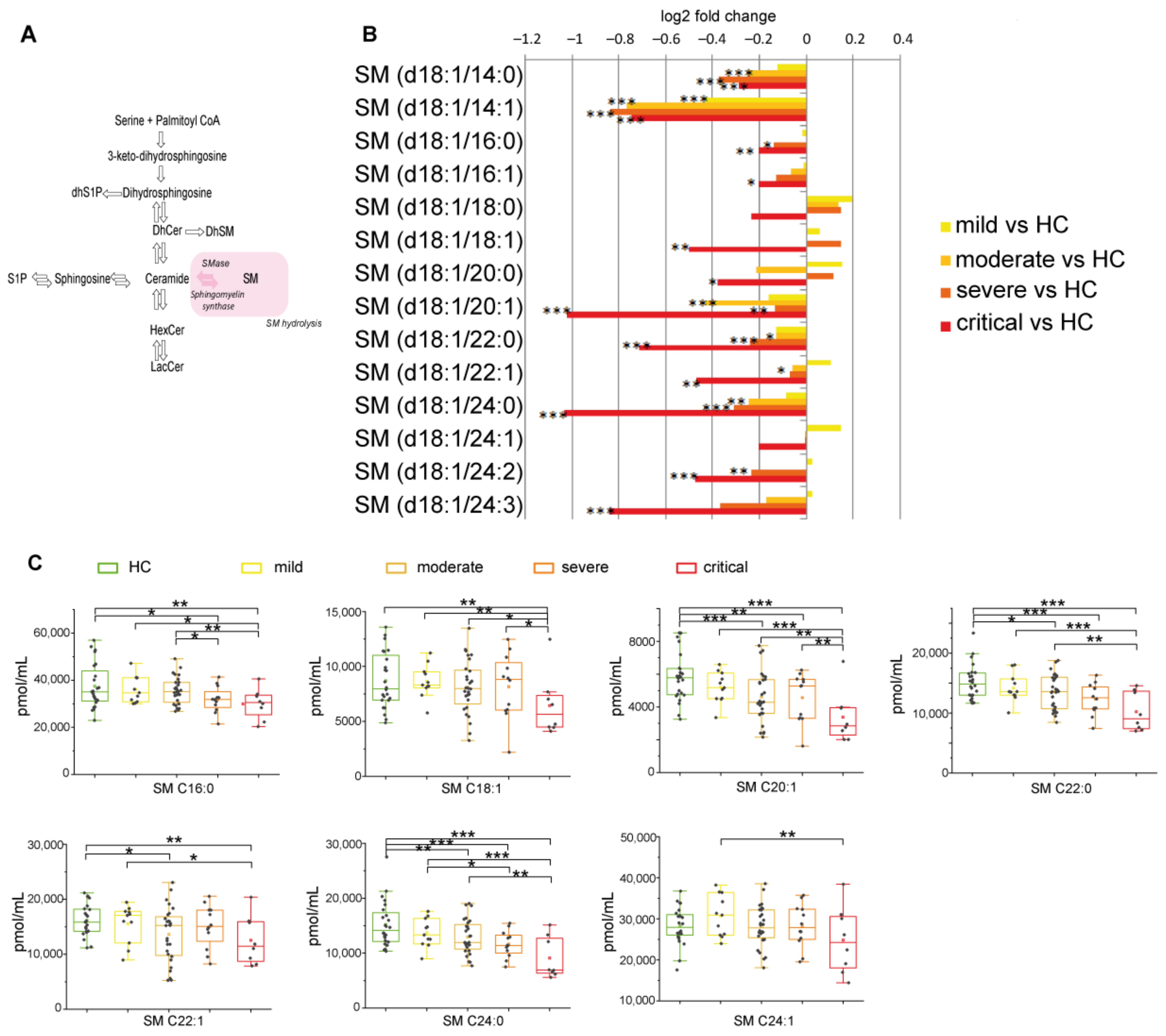 Ijms 22 10198 g005 Ijms 22 10198 g005
