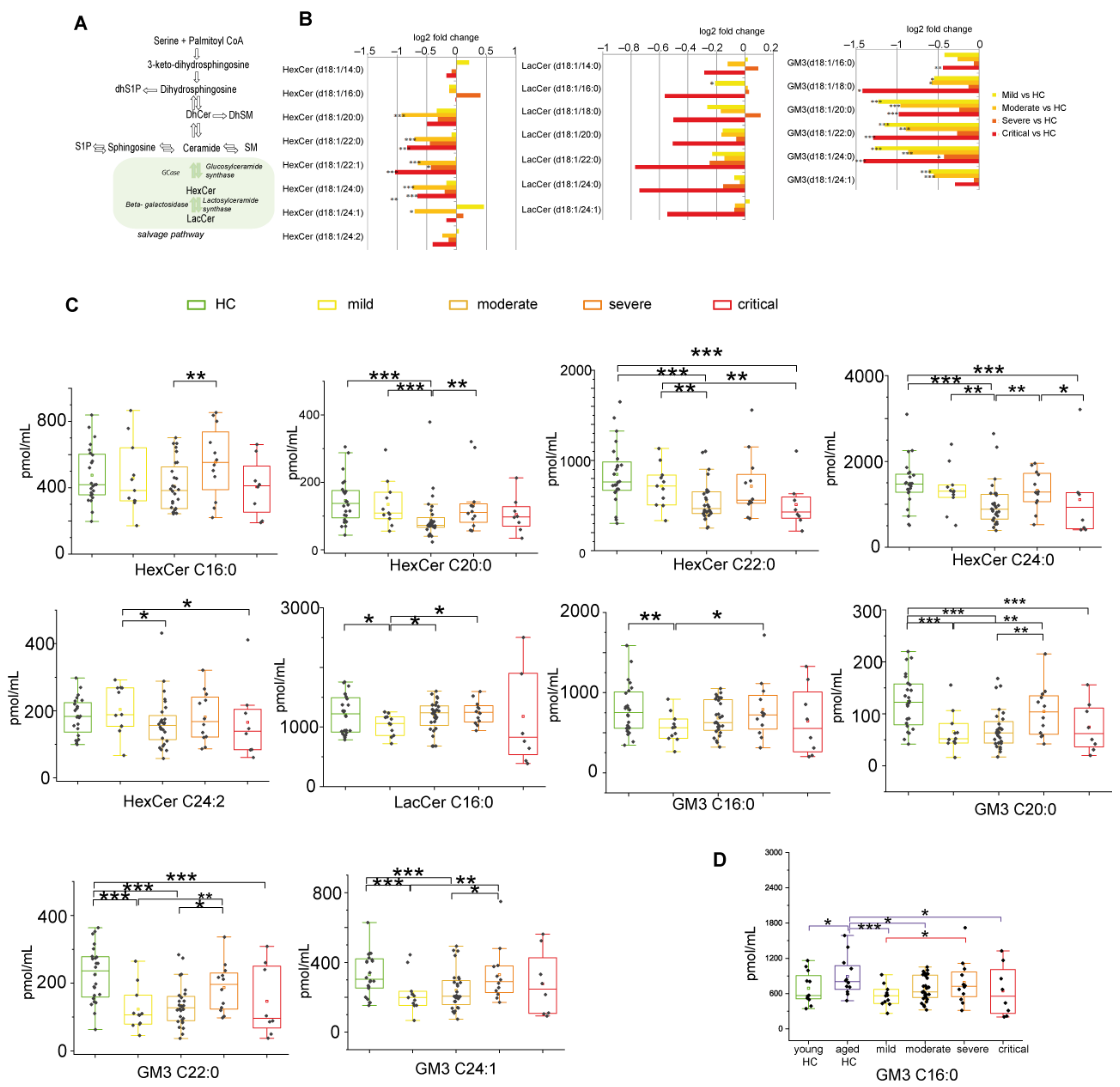 Ijms 22 10198 g006 Ijms 22 10198 g006