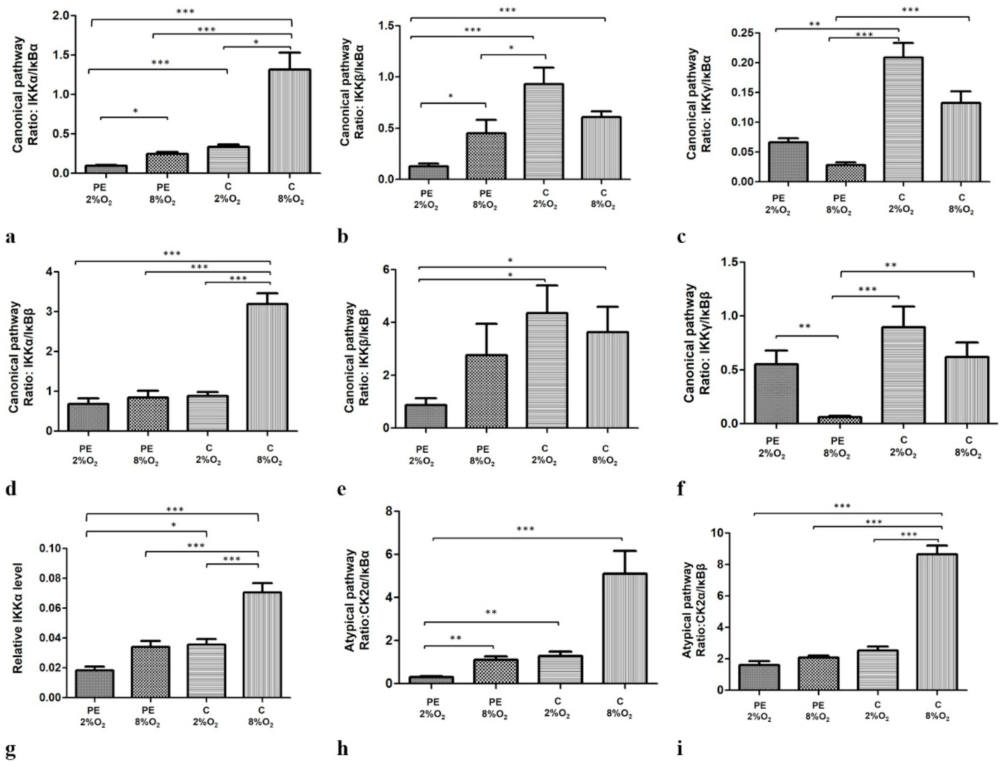Ijms 22 10200 g002 Ijms 22 10200 g002