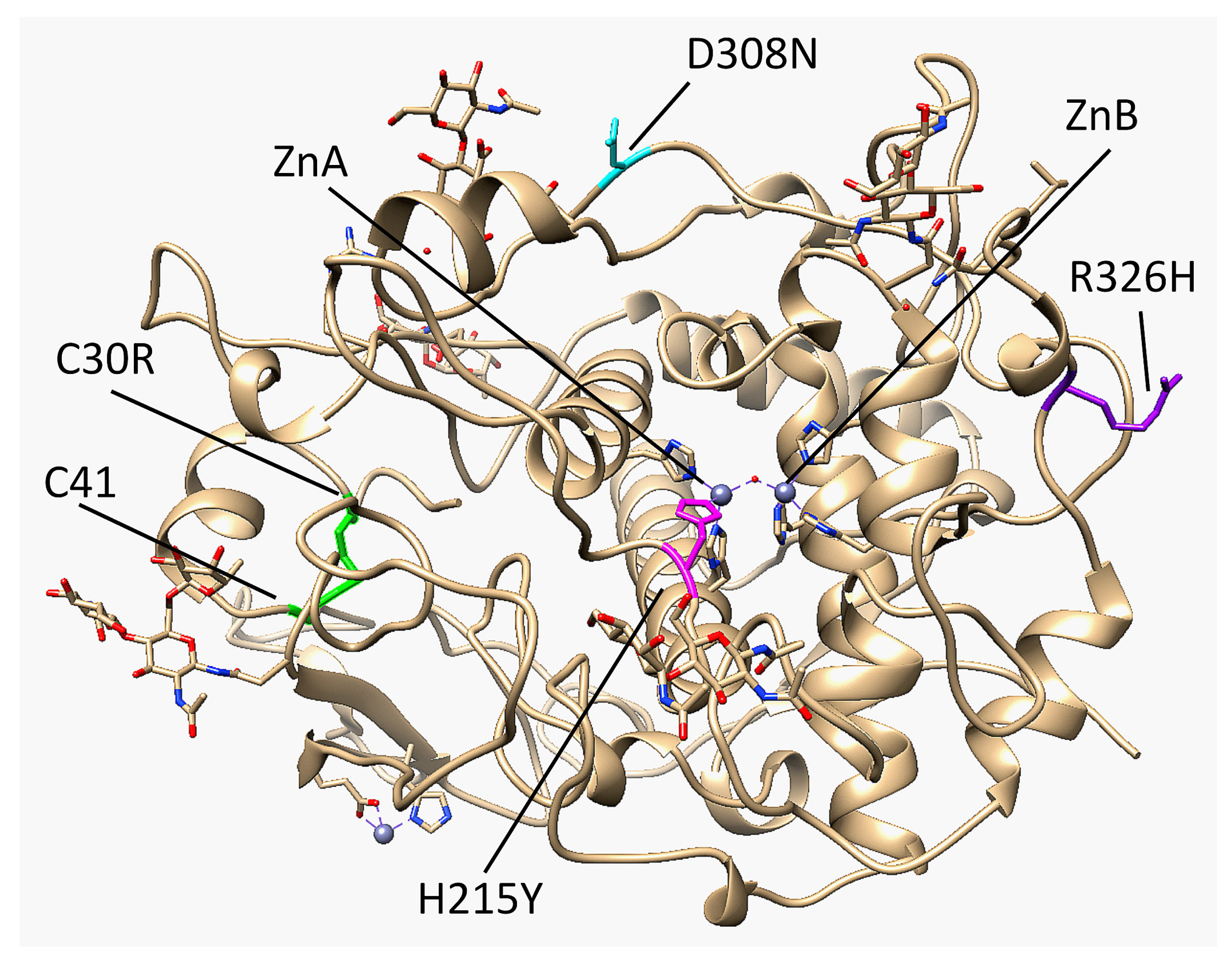 Ijms 22 10203 g001 550