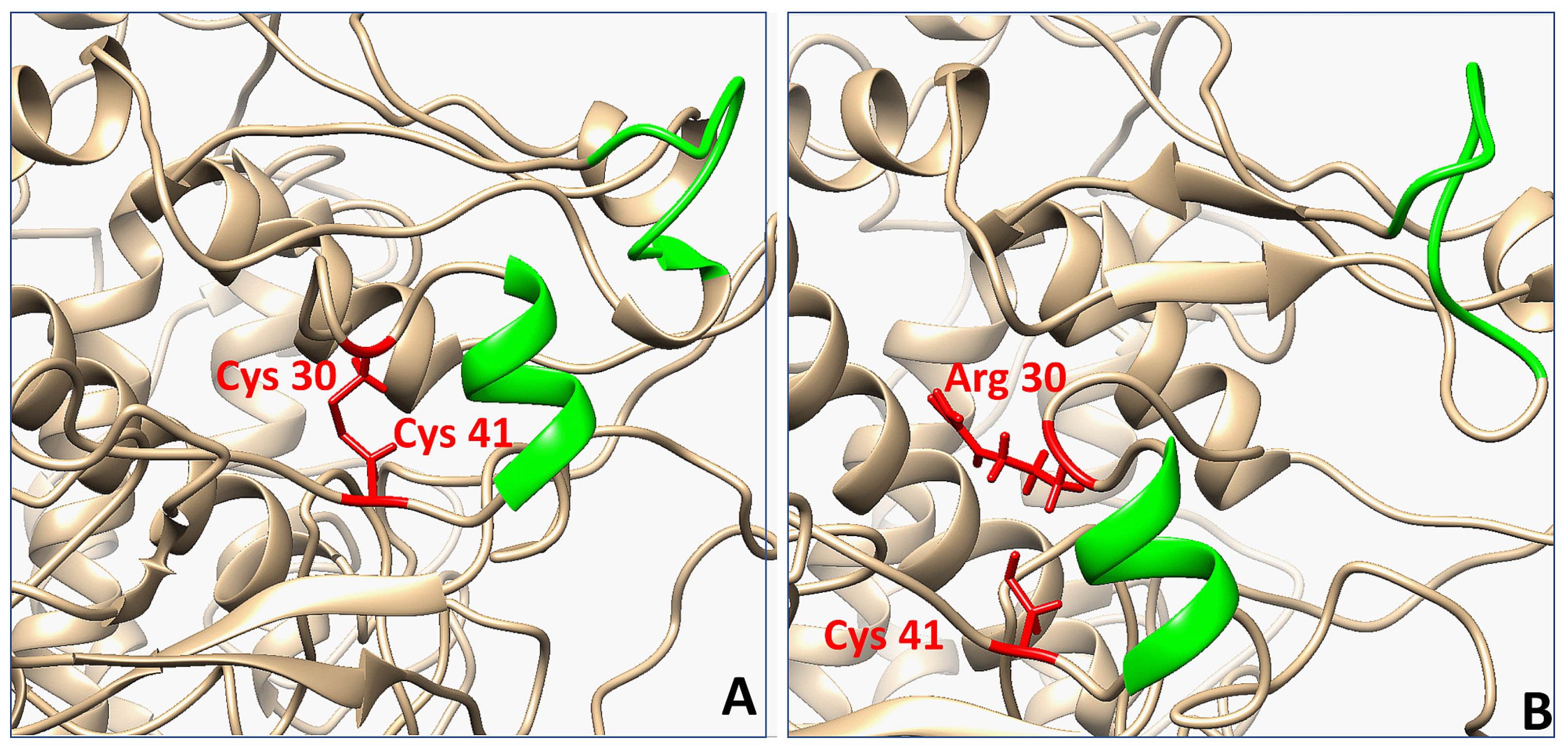 Ijms 22 10203 g004 550