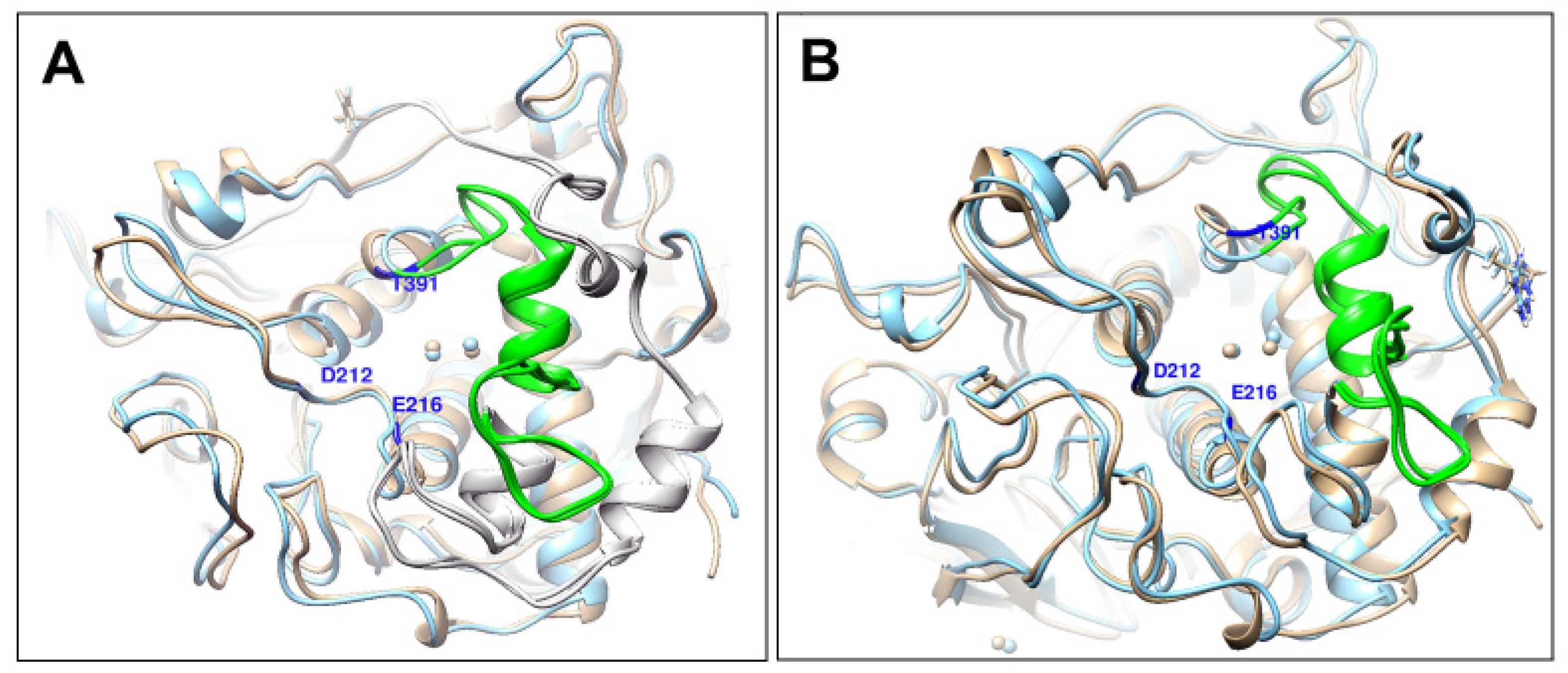 Ijms 22 10203 g006 550