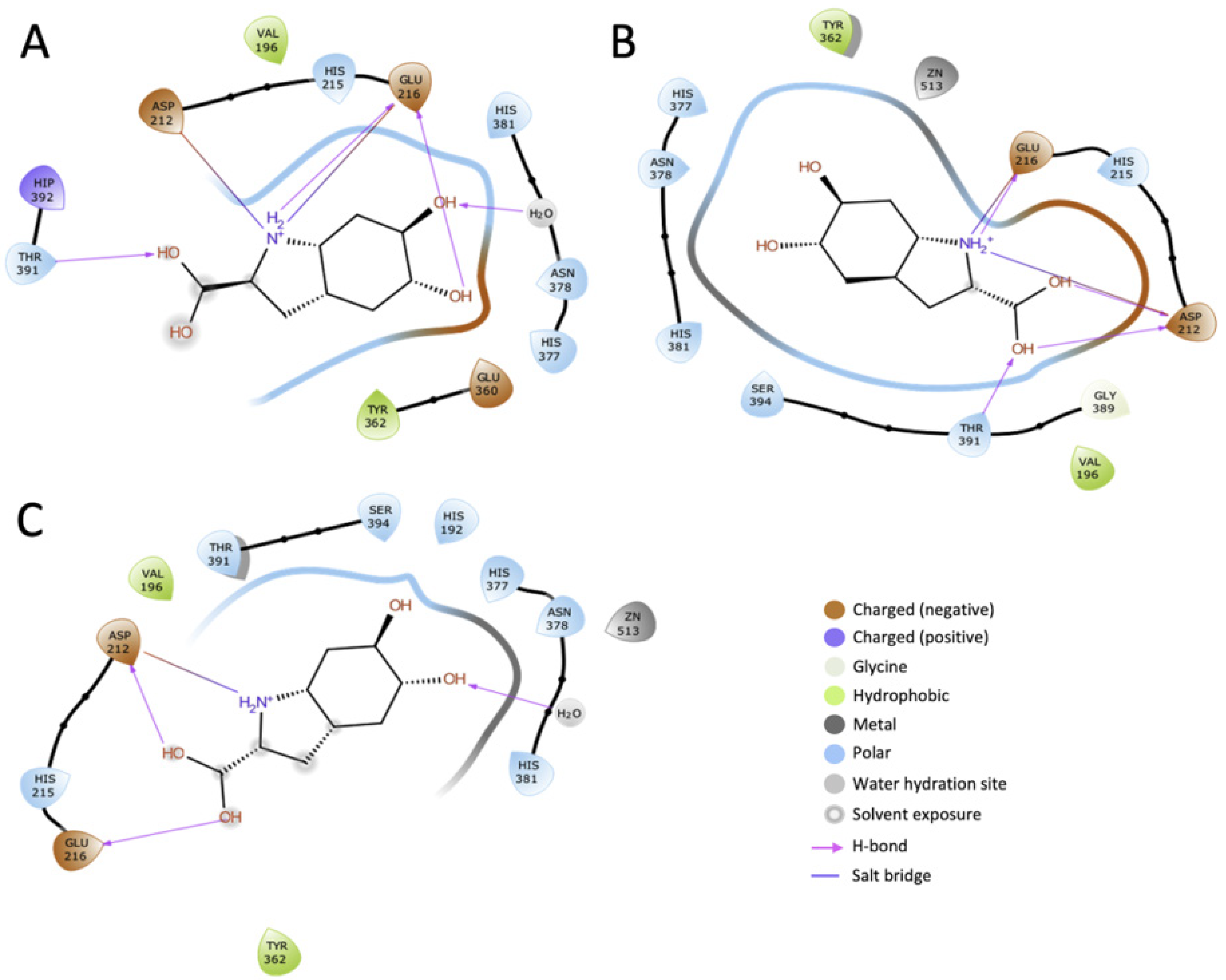 Ijms 22 10203 g007 550
