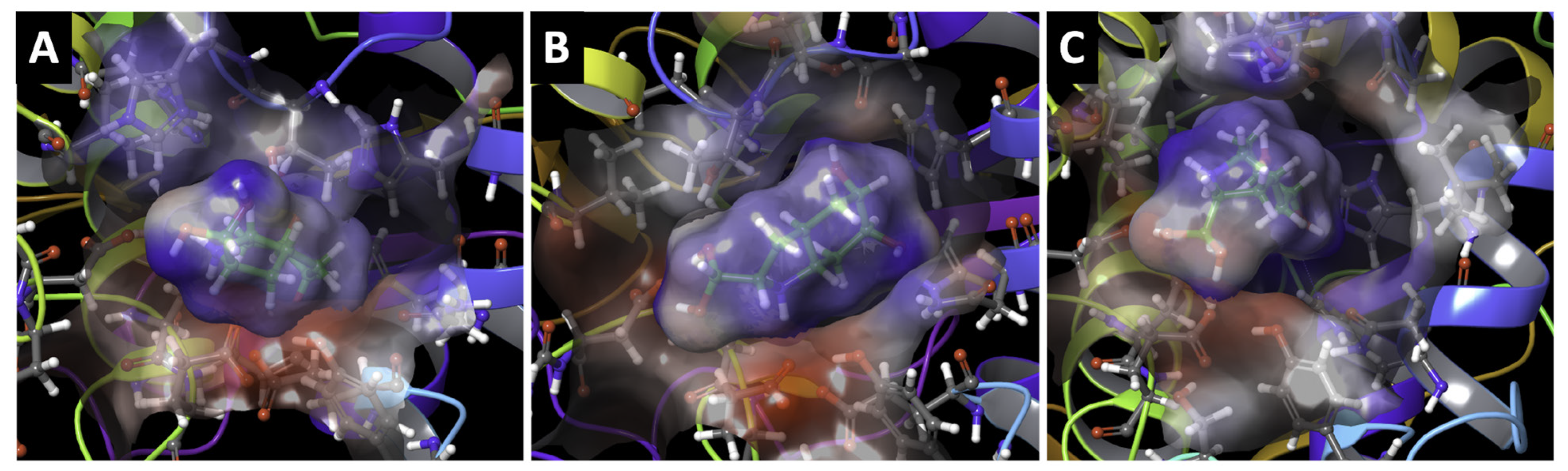 Ijms 22 10203 g008 550