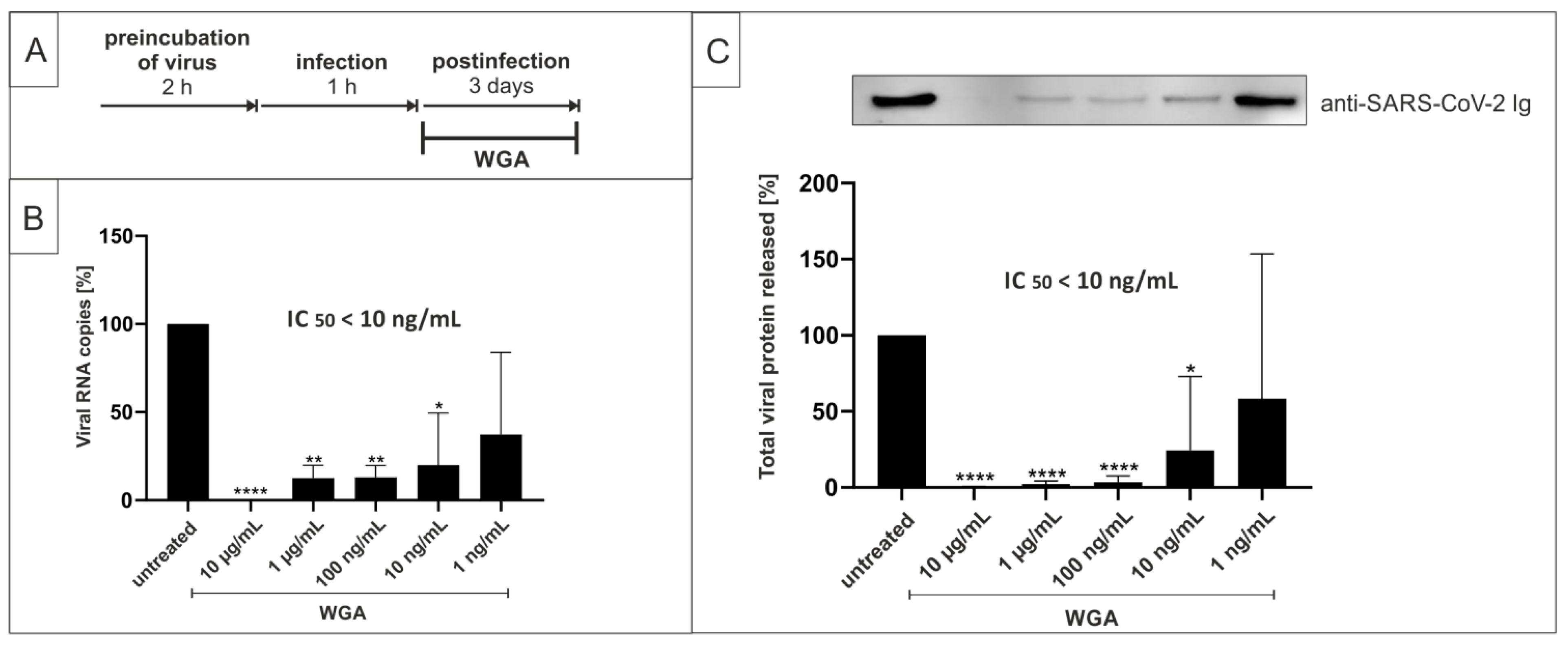 Ijms 22 10205 g001 550