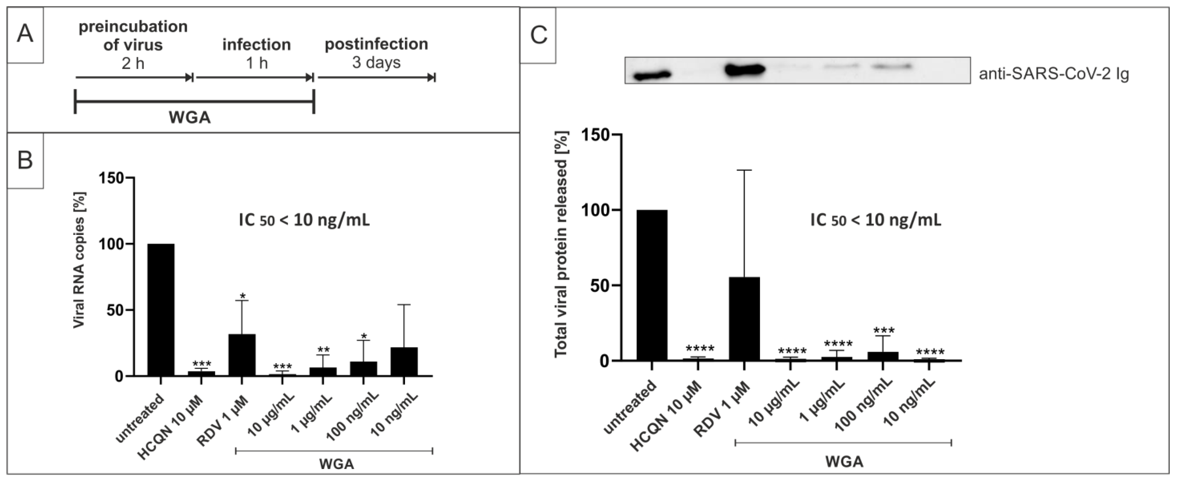 Ijms 22 10205 g003 550