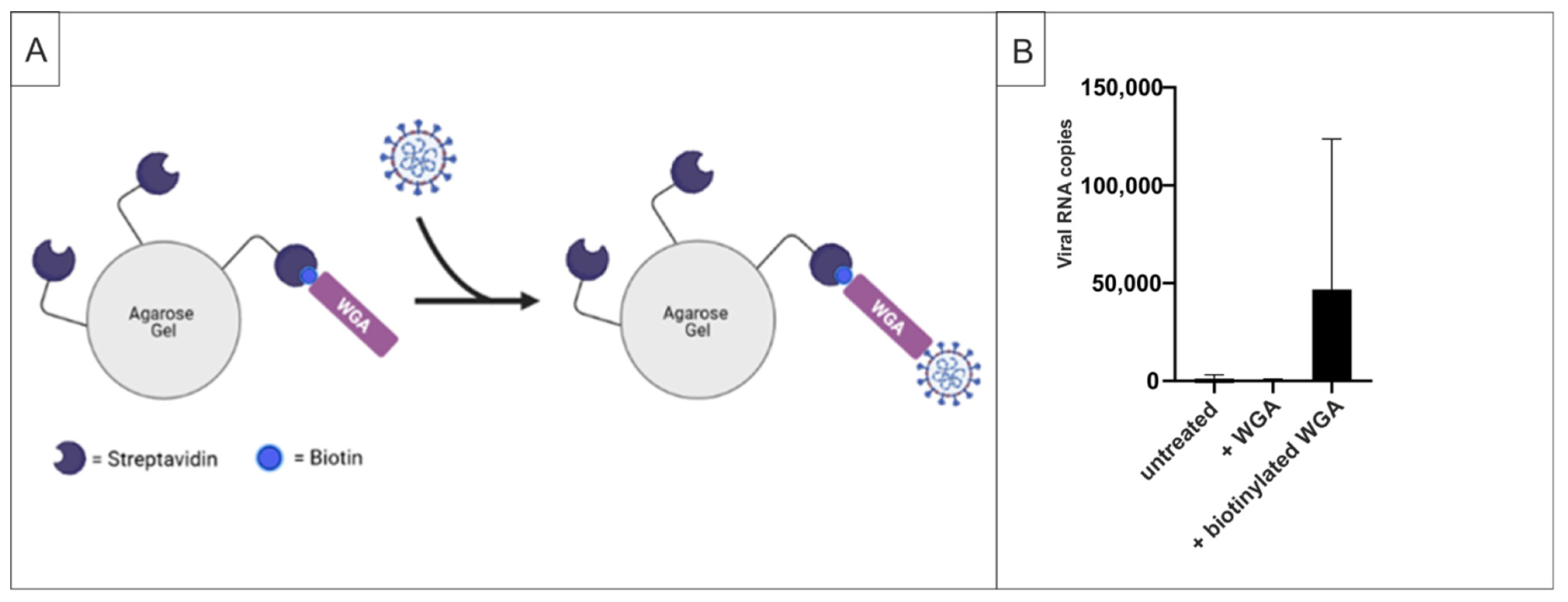 Ijms 22 10205 g005 550
