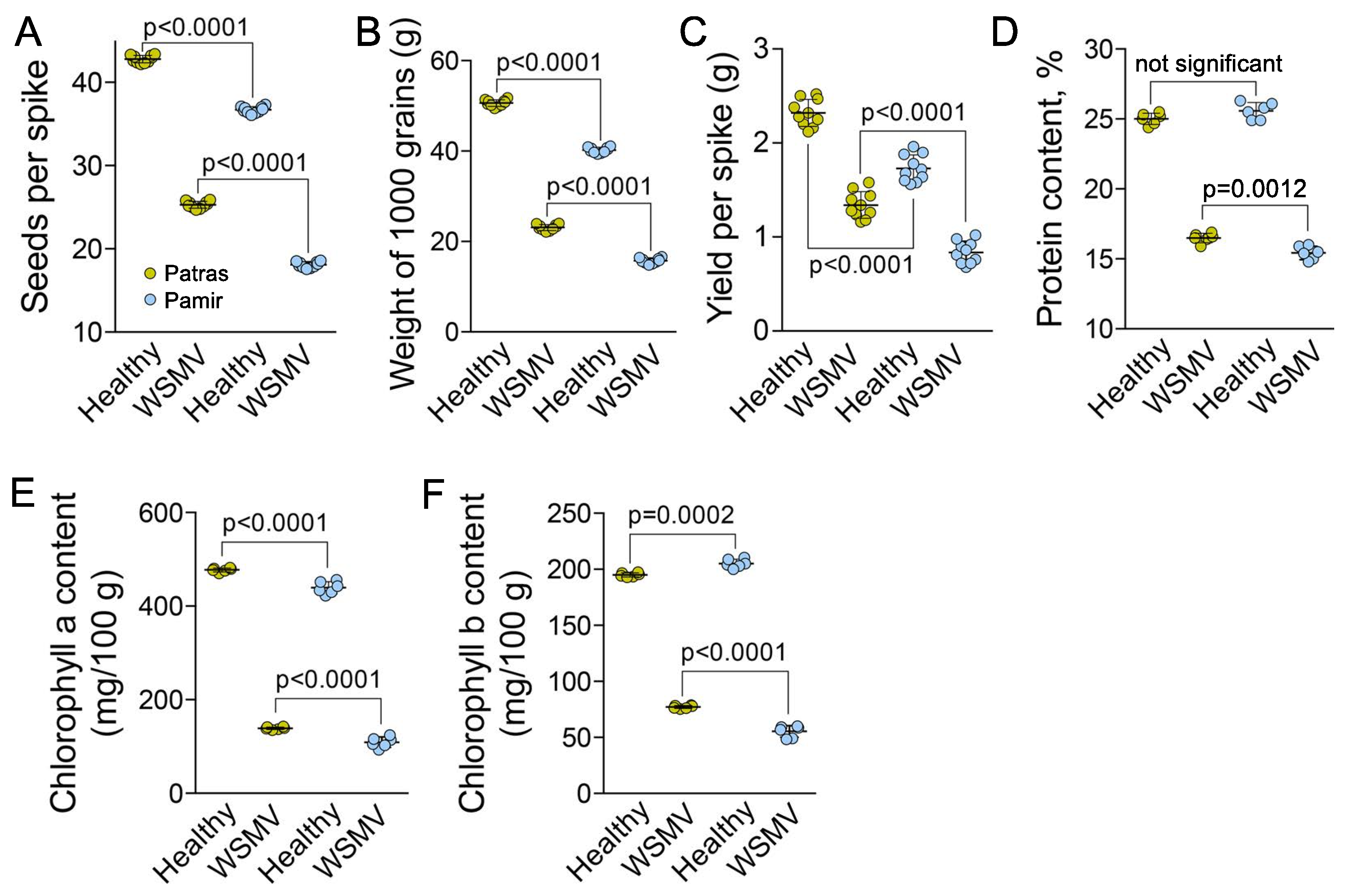 Ijms 22 10218 g002 Ijms 22 10218 g002