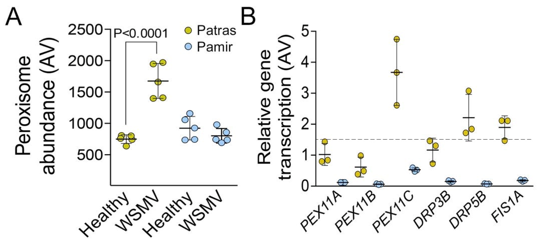 Ijms 22 10218 g003 Ijms 22 10218 g003