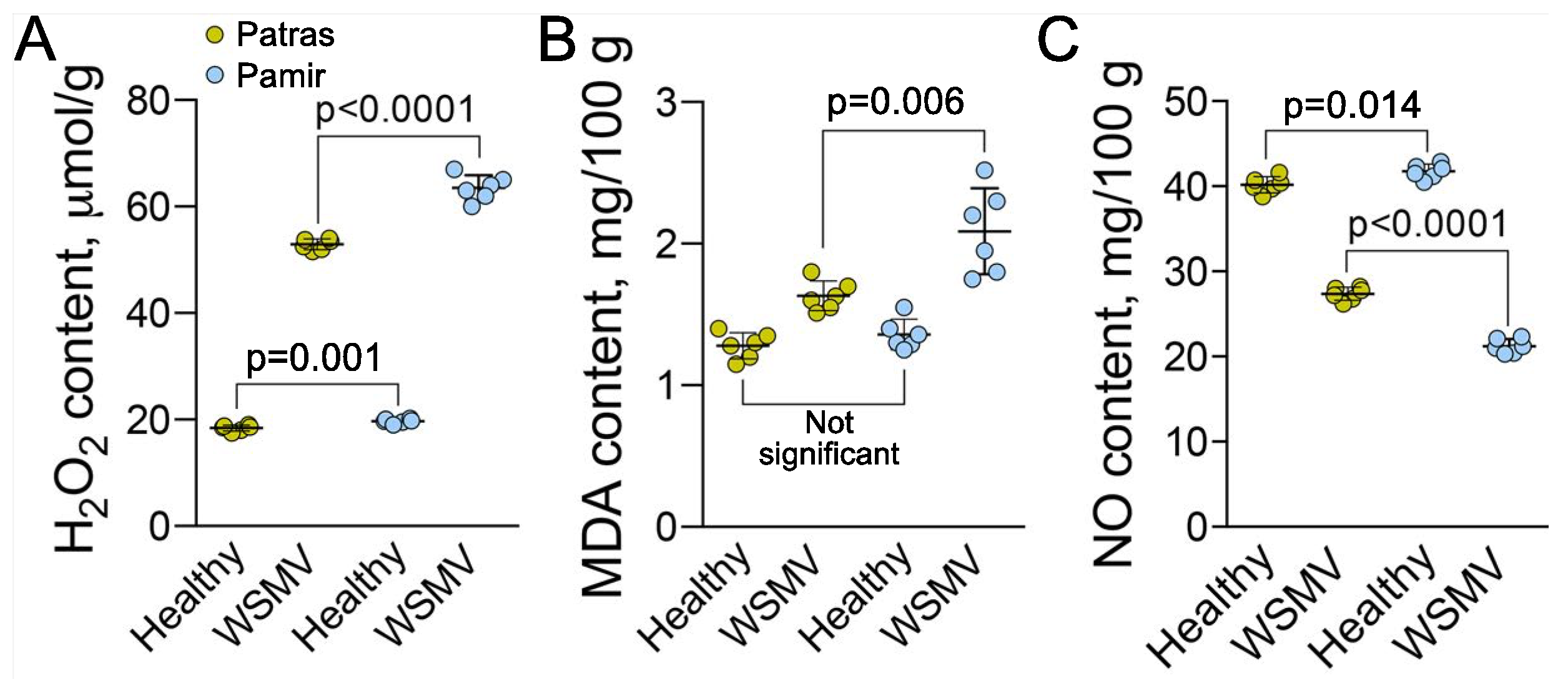 Ijms 22 10218 g004 Ijms 22 10218 g004