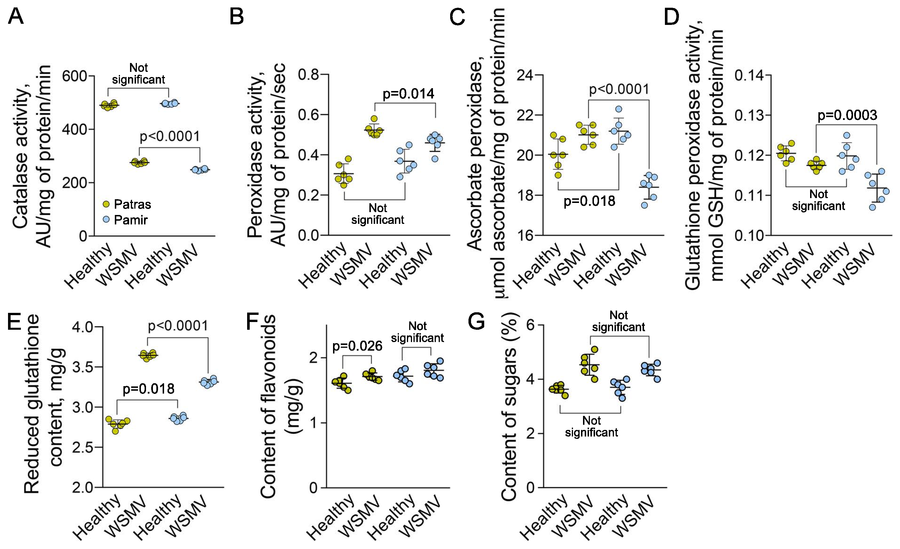 Ijms 22 10218 g005 Ijms 22 10218 g005