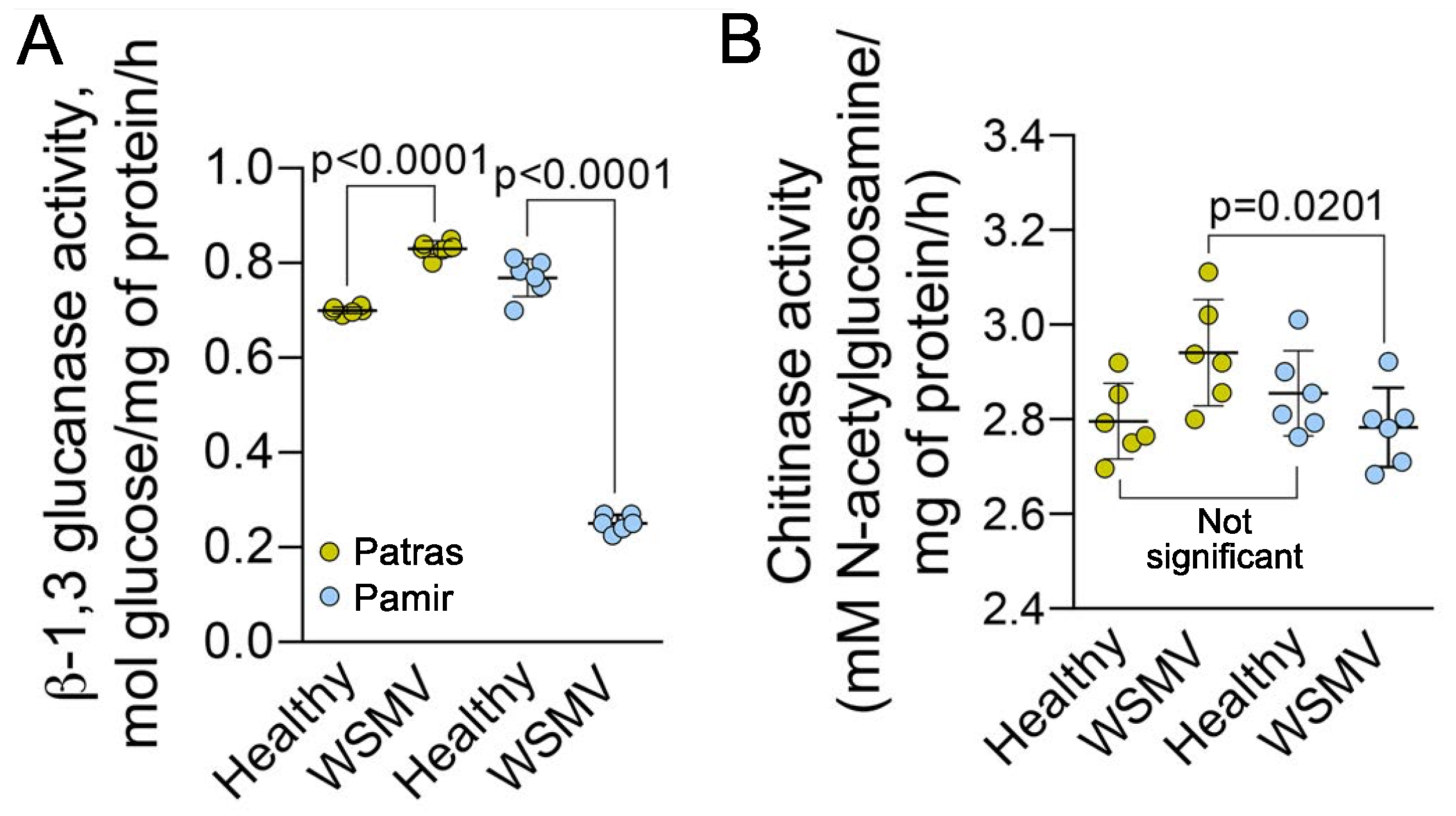 Ijms 22 10218 g006 Ijms 22 10218 g006
