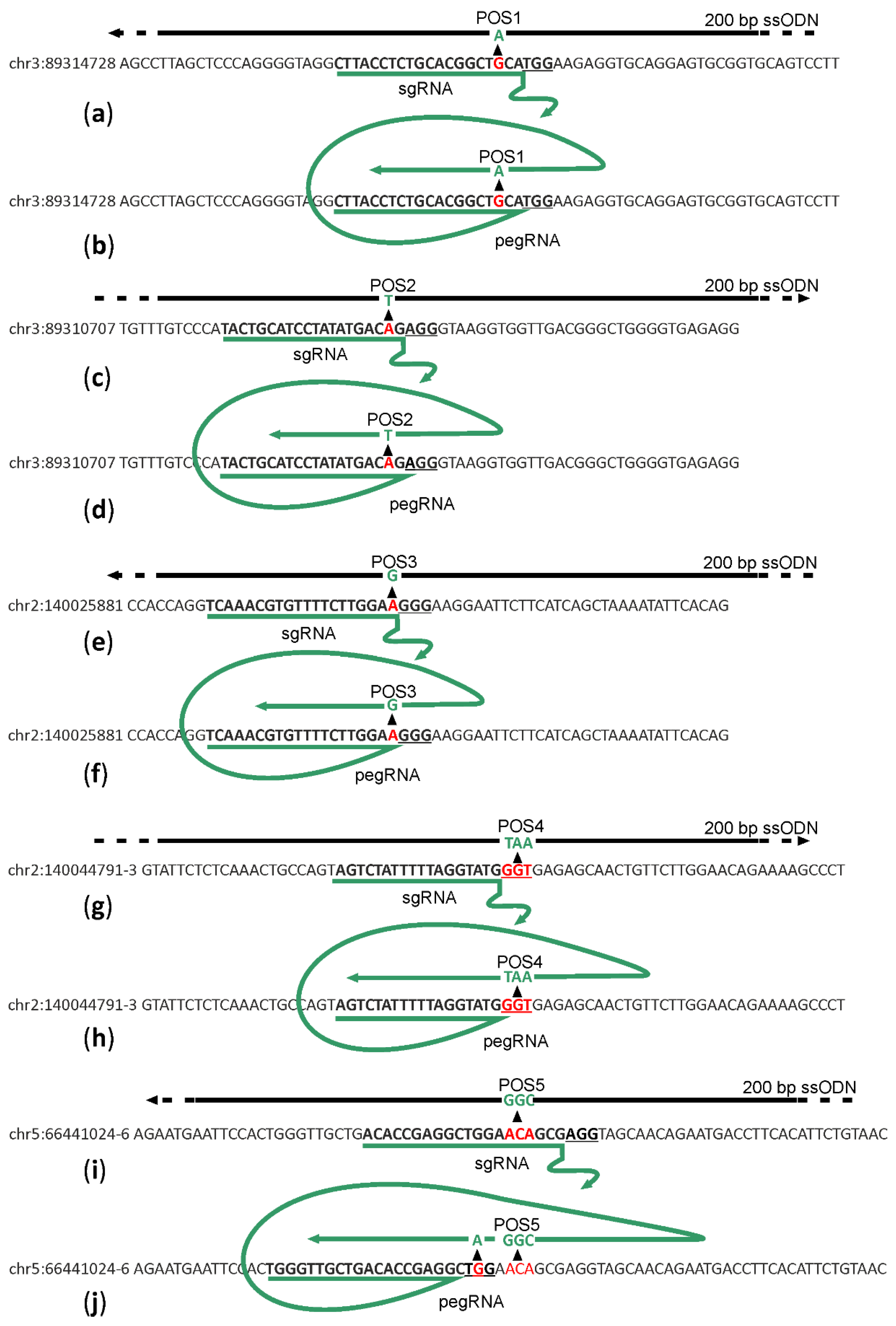 Ijms 22 10221 g001 550