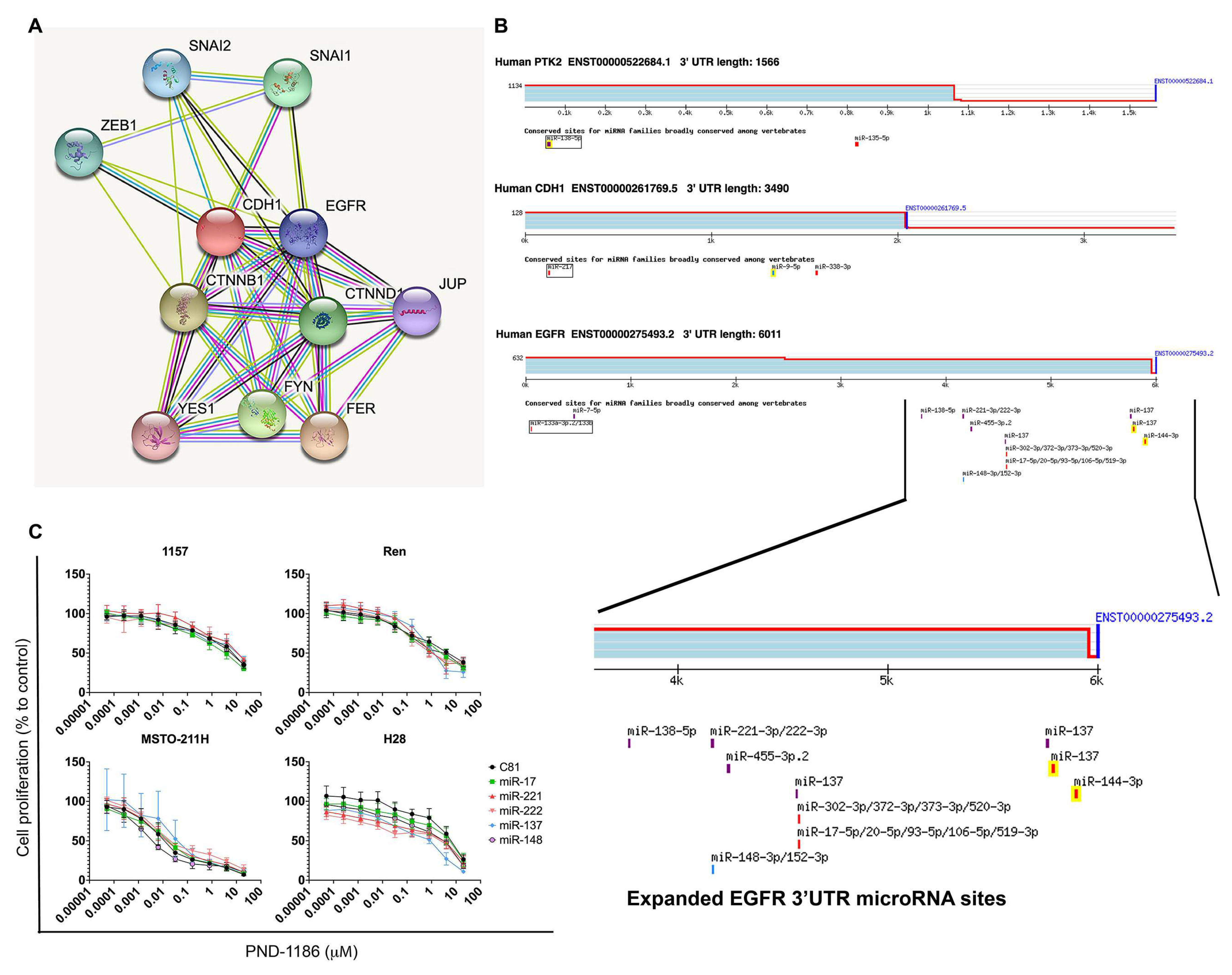 Ijms 22 10225 g005 Ijms 22 10225 g005