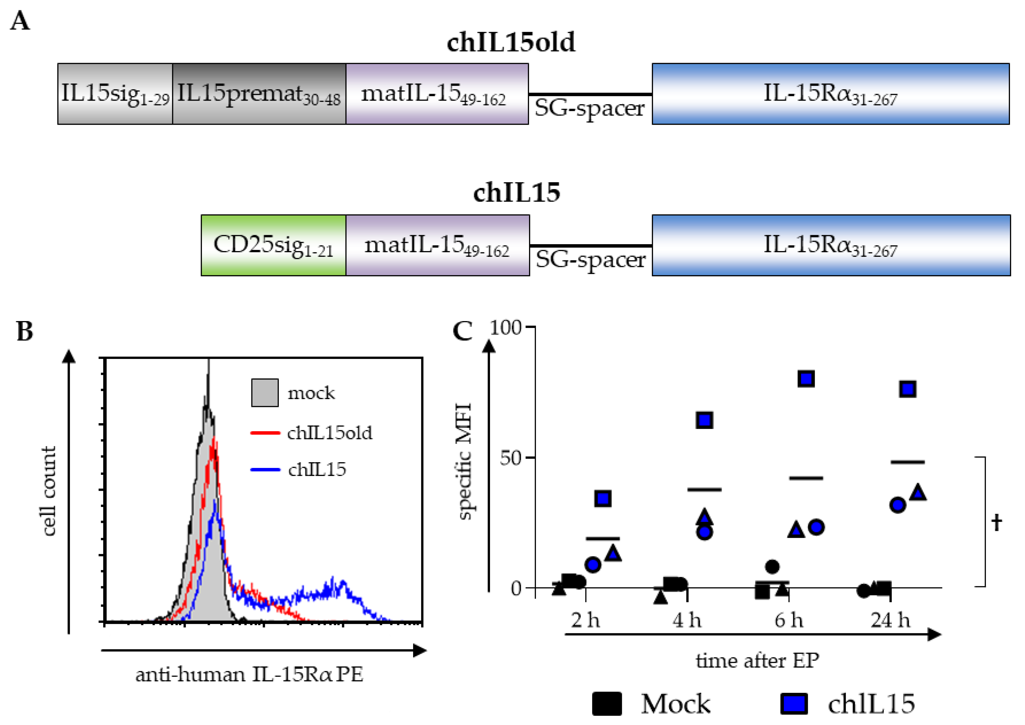 Ijms 22 10227 g001 550