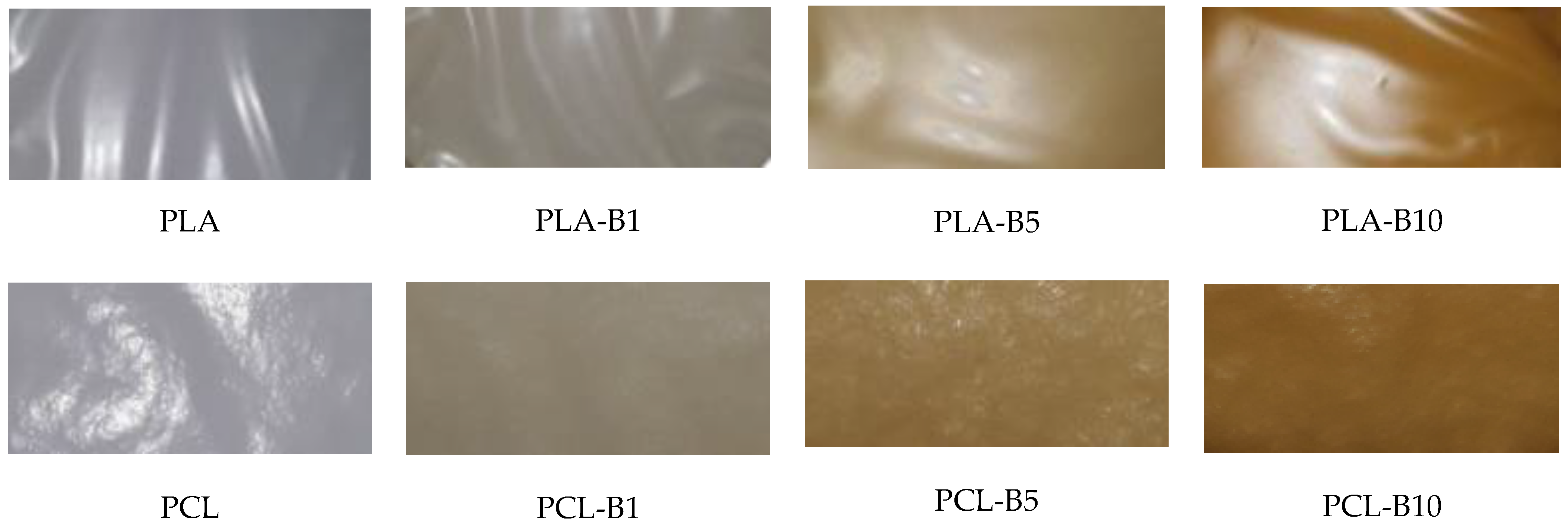 Ijms 22 10228 g001 Ijms 22 10228 g001