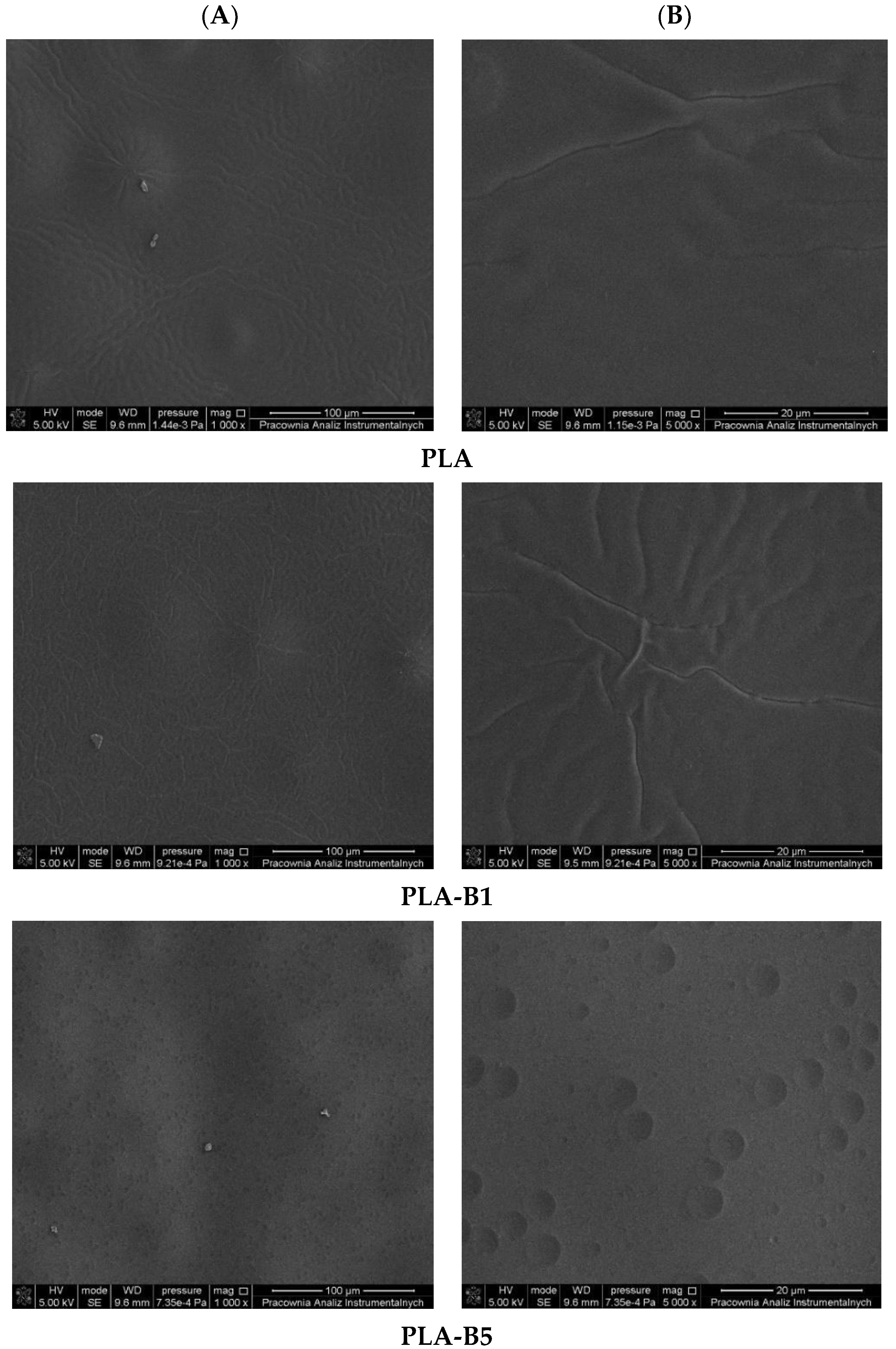 Ijms 22 10228 g002a Ijms 22 10228 g002a