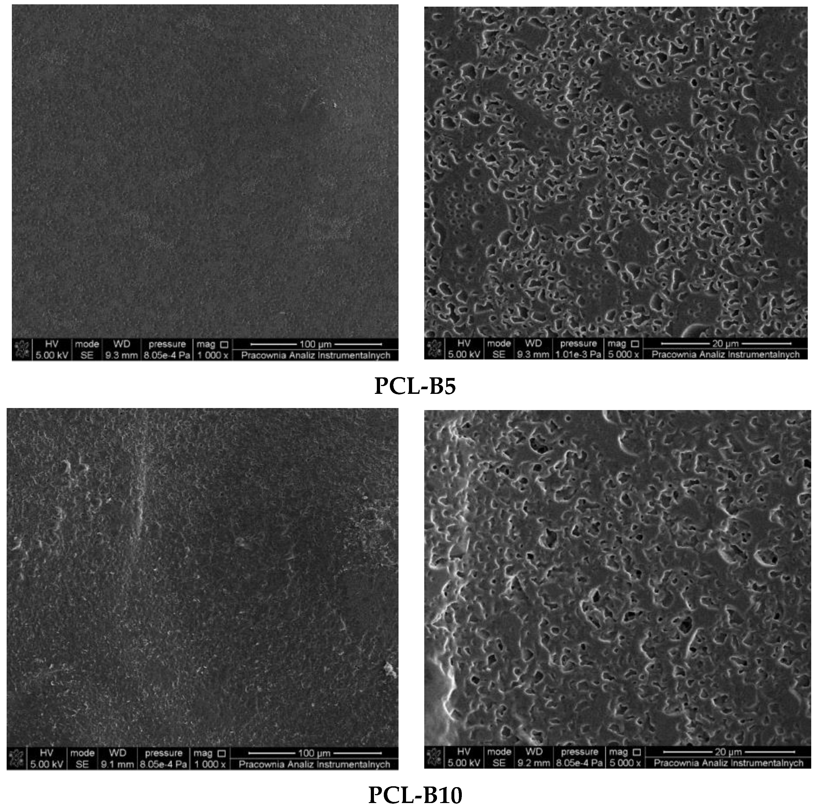 Ijms 22 10228 g003b Ijms 22 10228 g003b