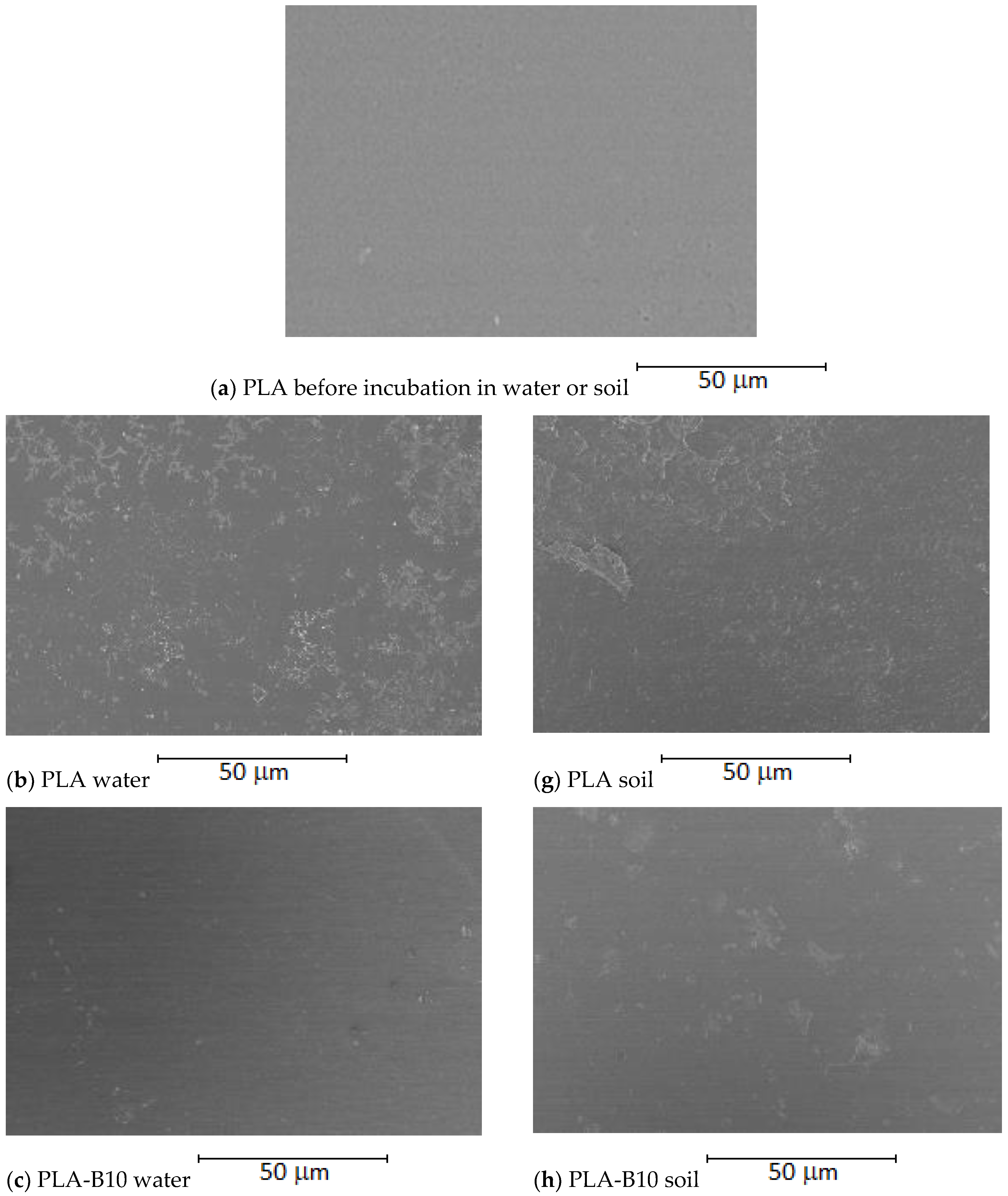 Ijms 22 10228 g005a Ijms 22 10228 g005a