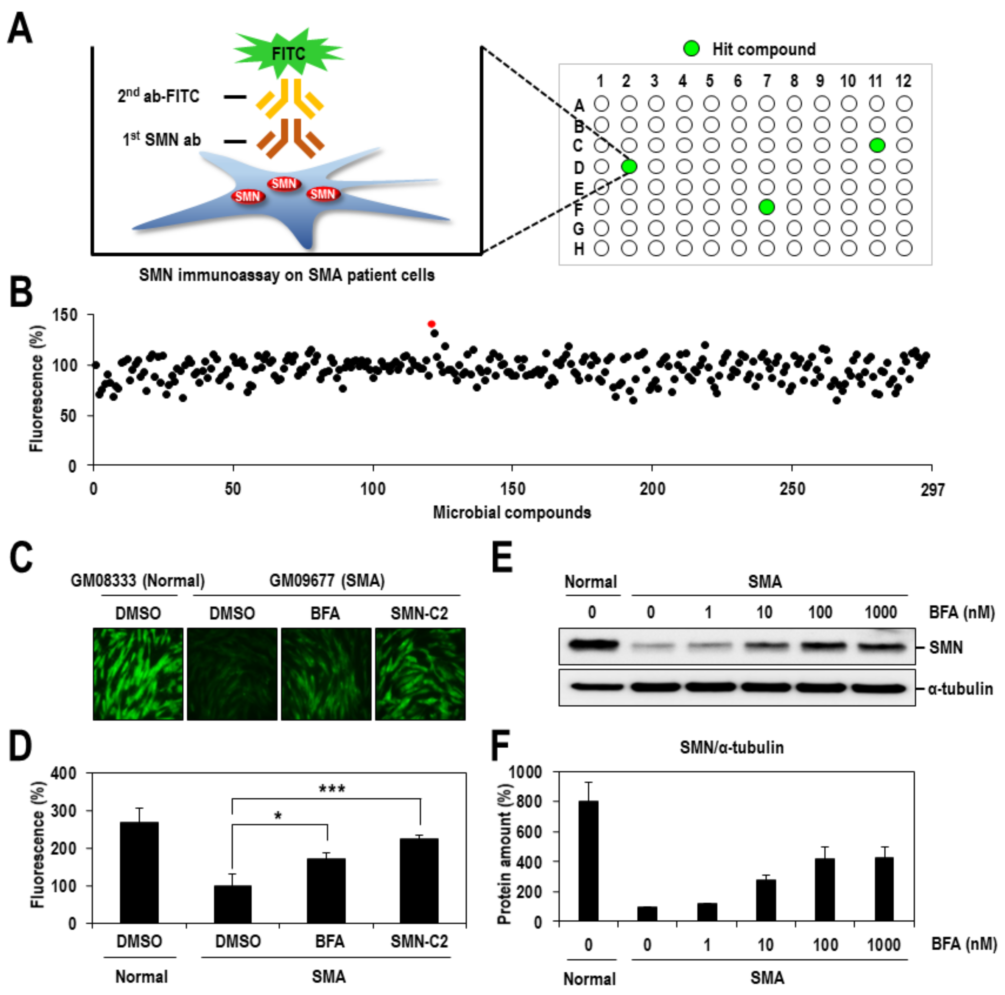 Ijms 22 10234 g001 Ijms 22 10234 g001