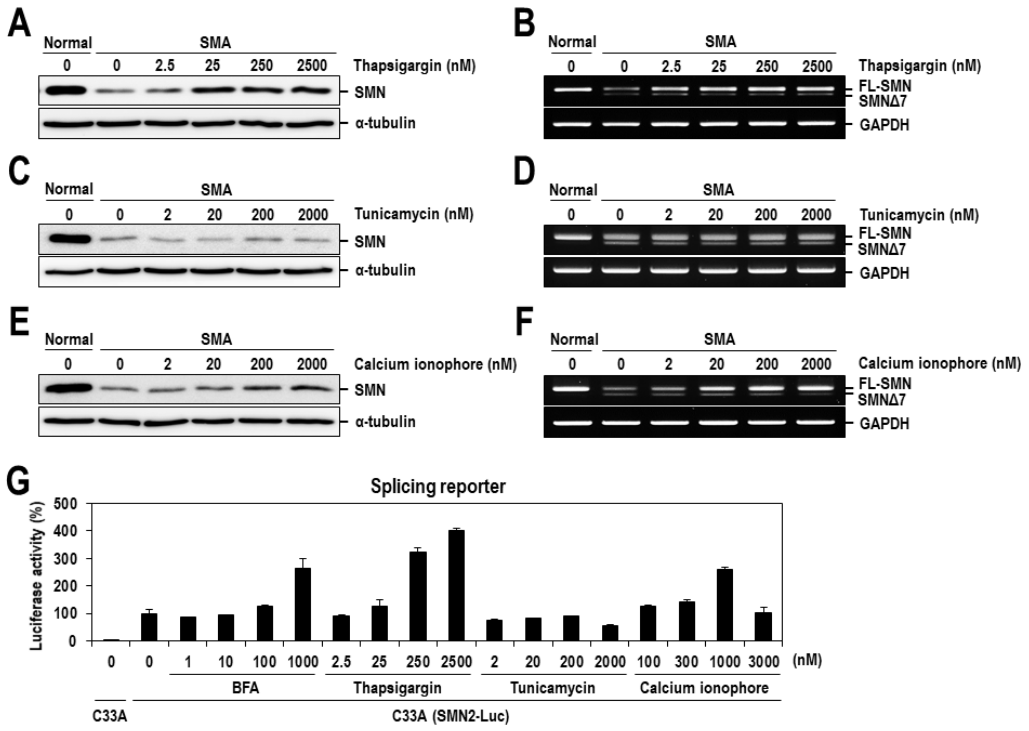 Ijms 22 10234 g003 Ijms 22 10234 g003