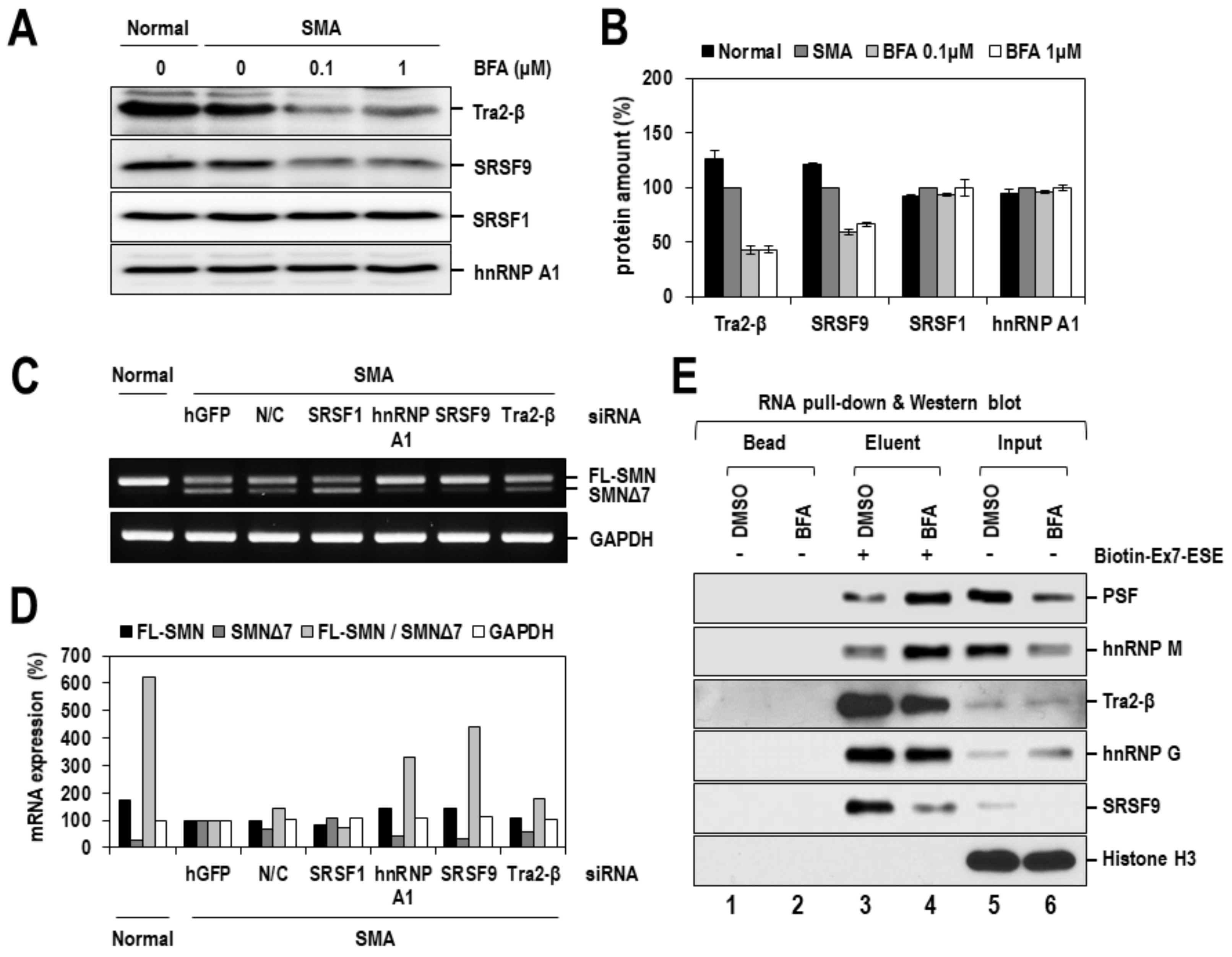 Ijms 22 10234 g006 Ijms 22 10234 g006