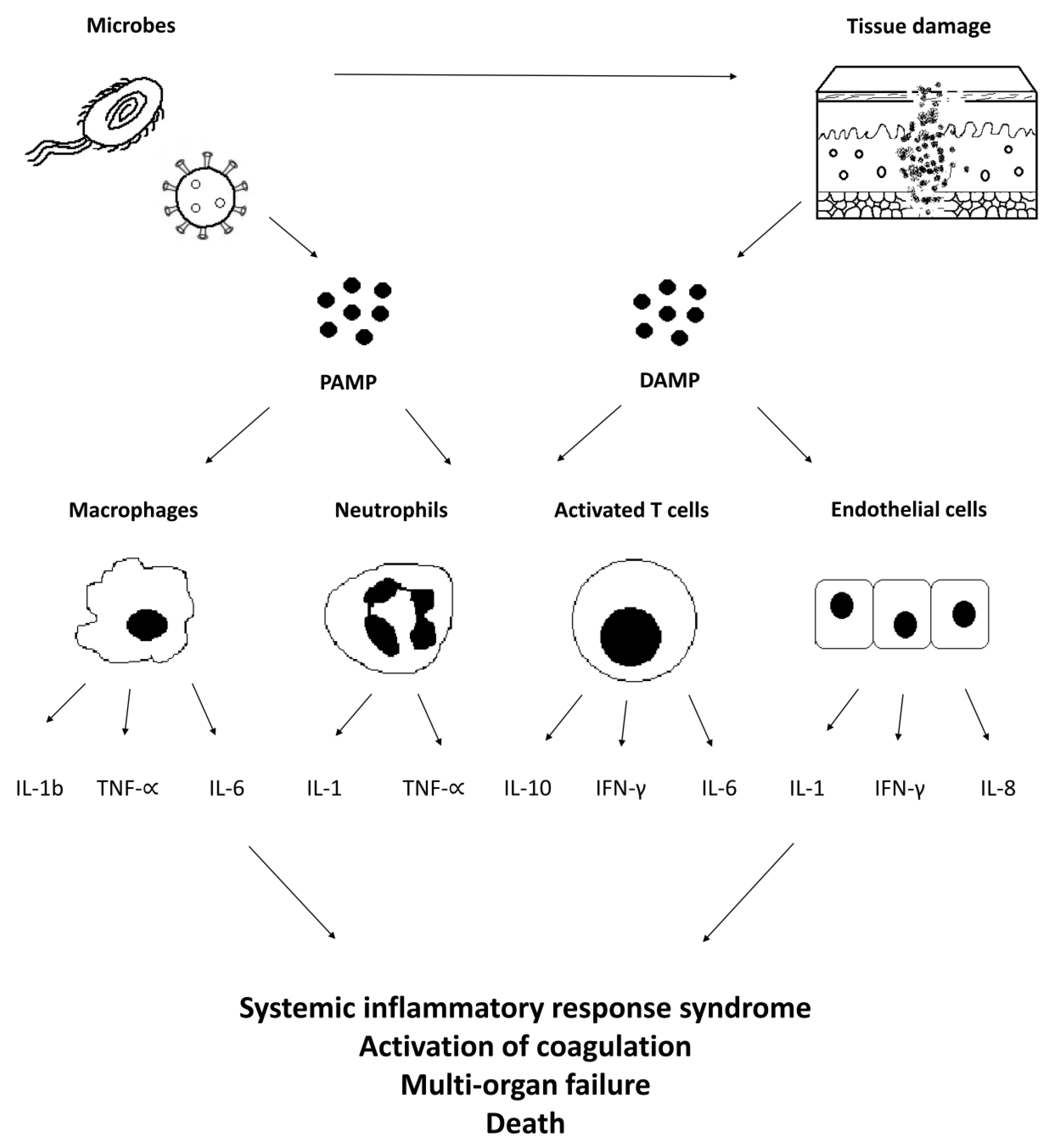ijms free full text renal replacement techniques in septic shock html