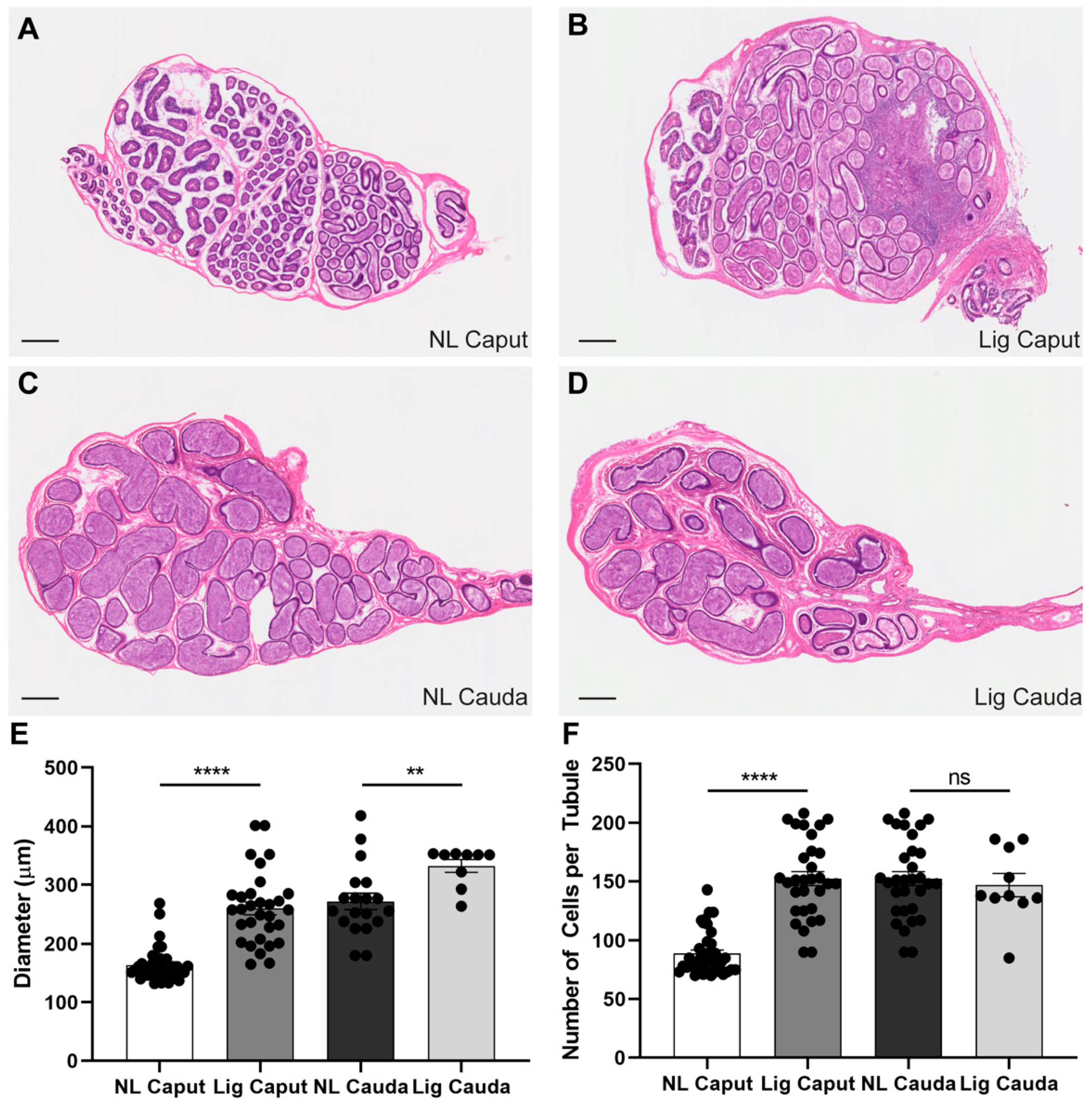 Ijms 22 10241 g002 550