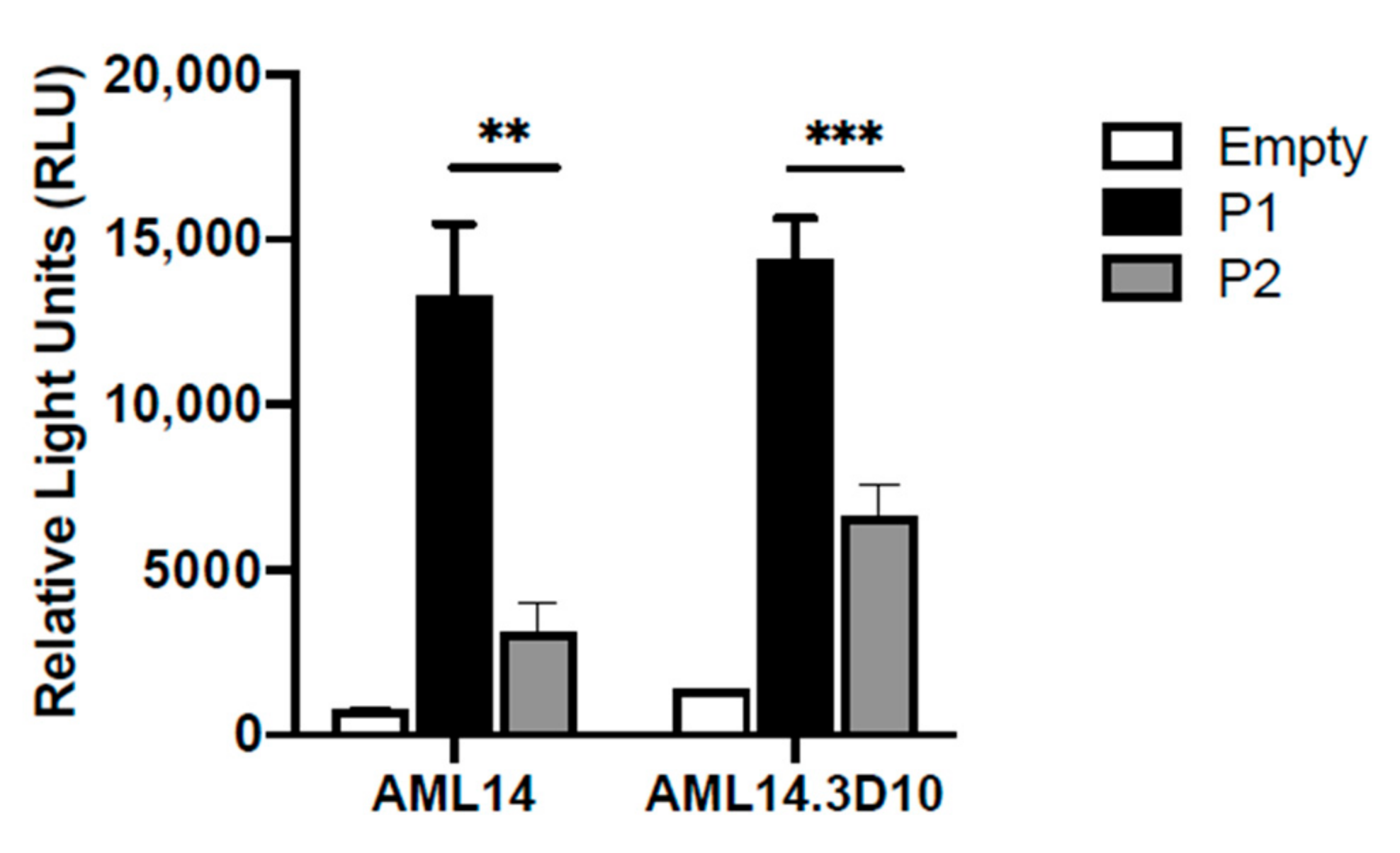 Ijms 22 10245 g003 550