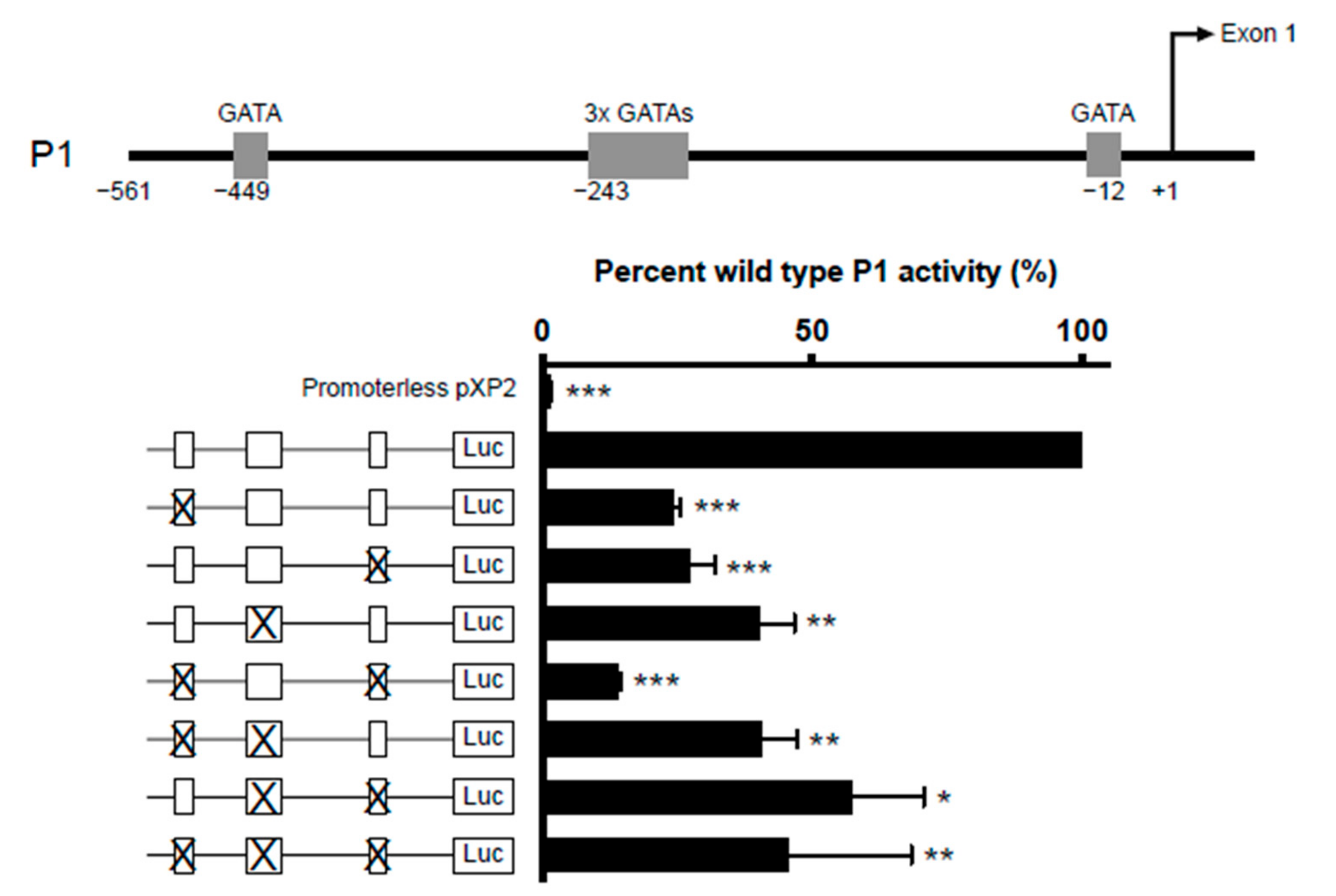 Ijms 22 10245 g005 550
