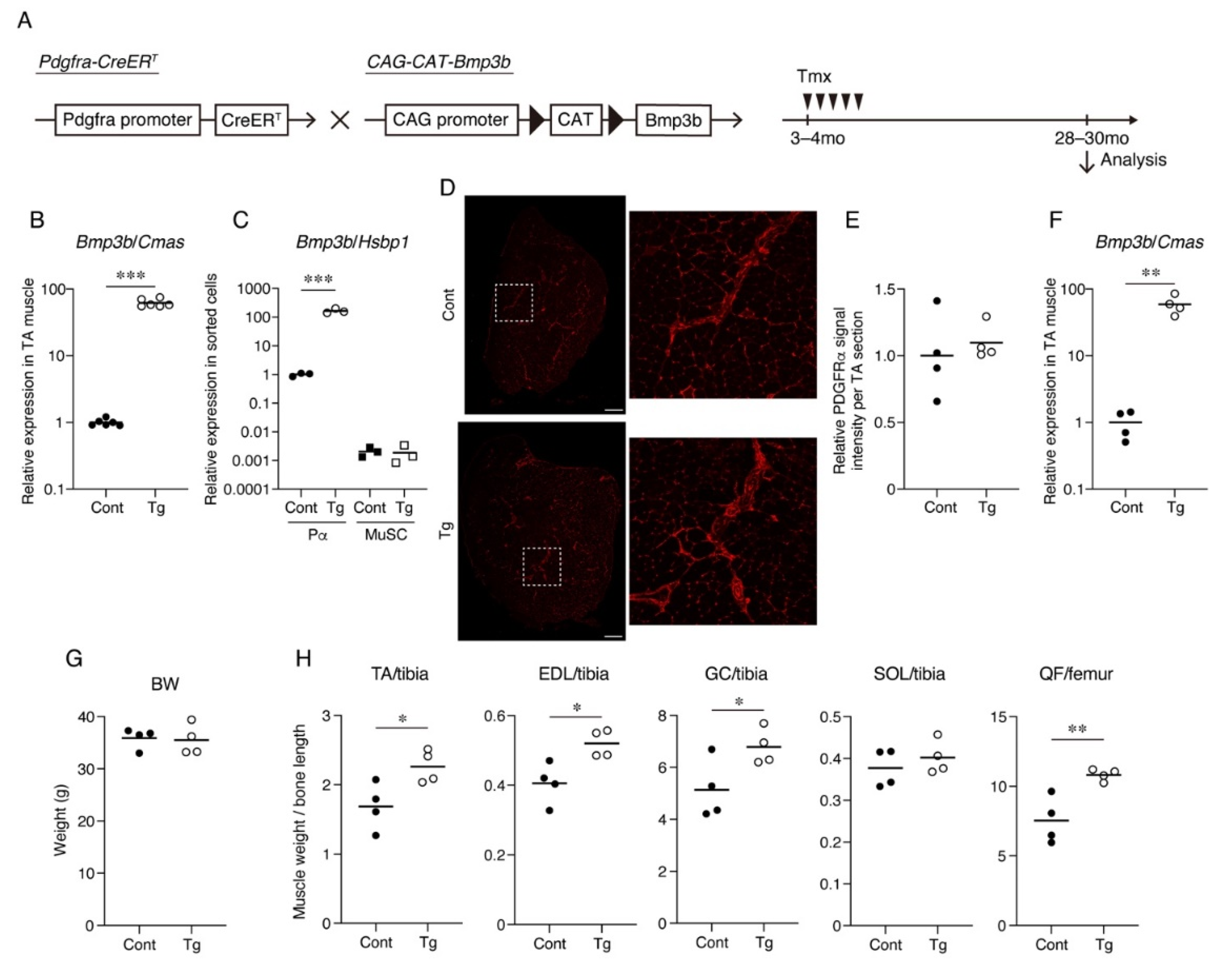 Ijms 22 10246 g001 550